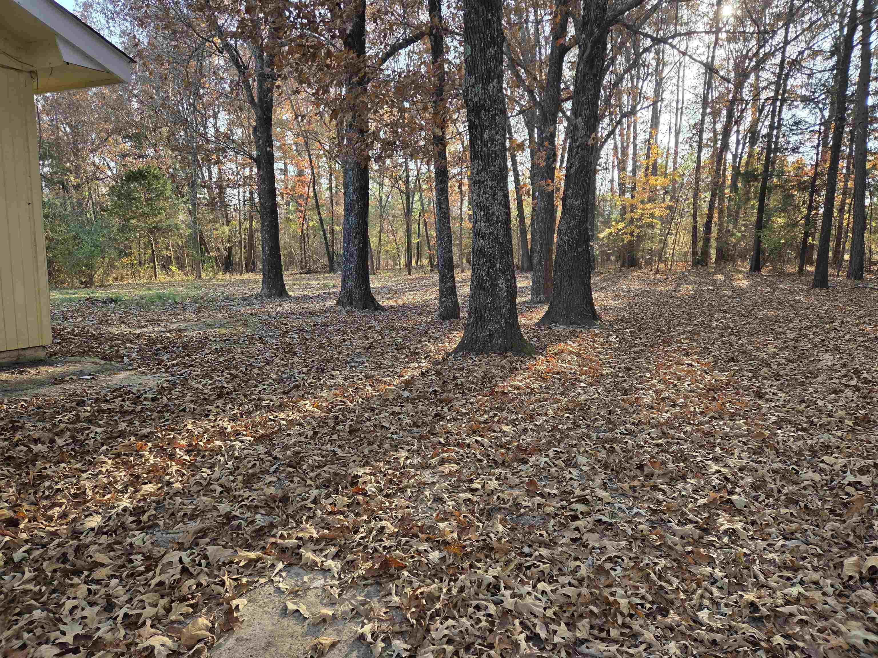 156 Pottawattamie  Cherokee Village, AR