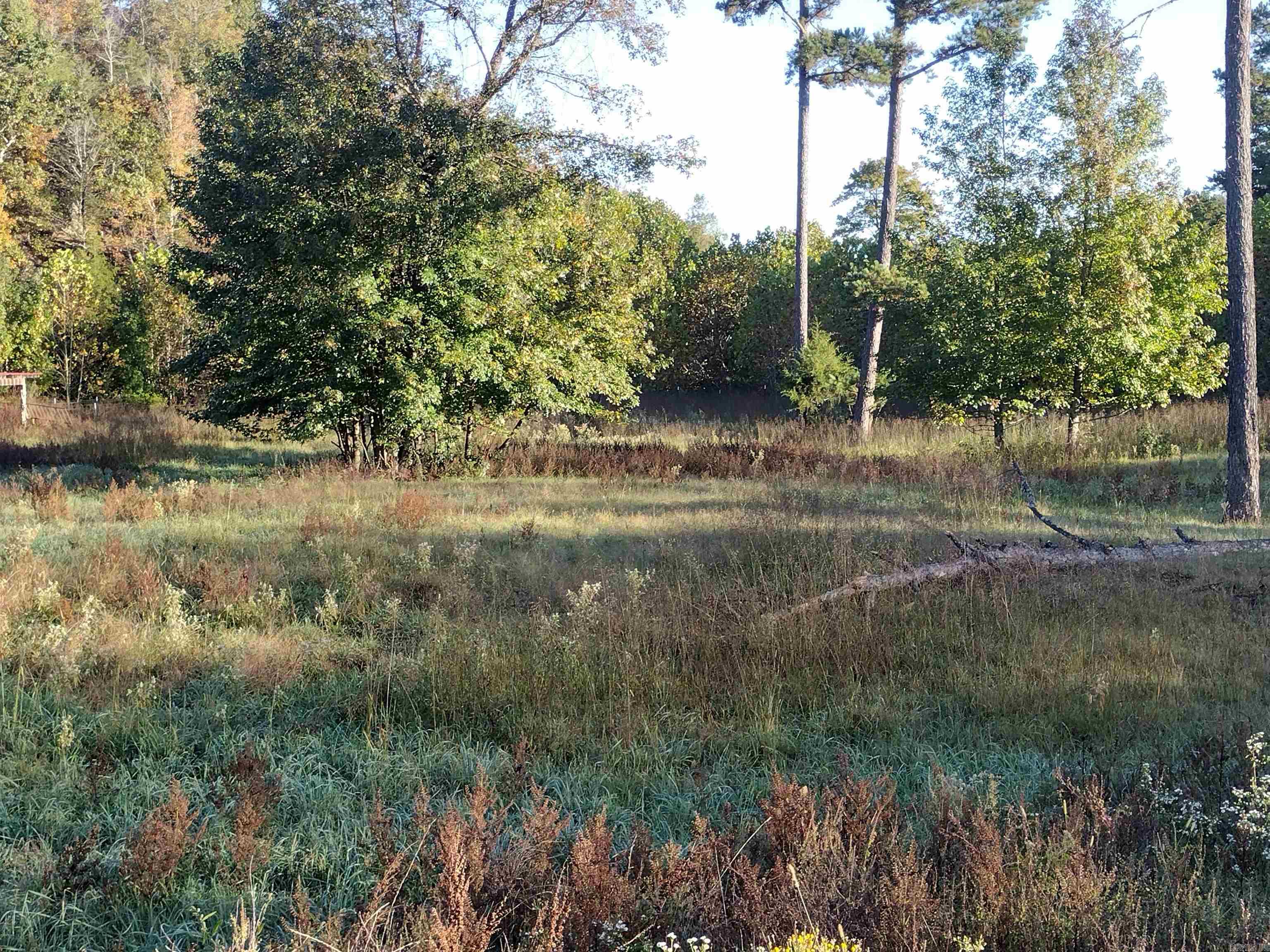 1000 Arvid Maeland Blvd  Mountain View, AR