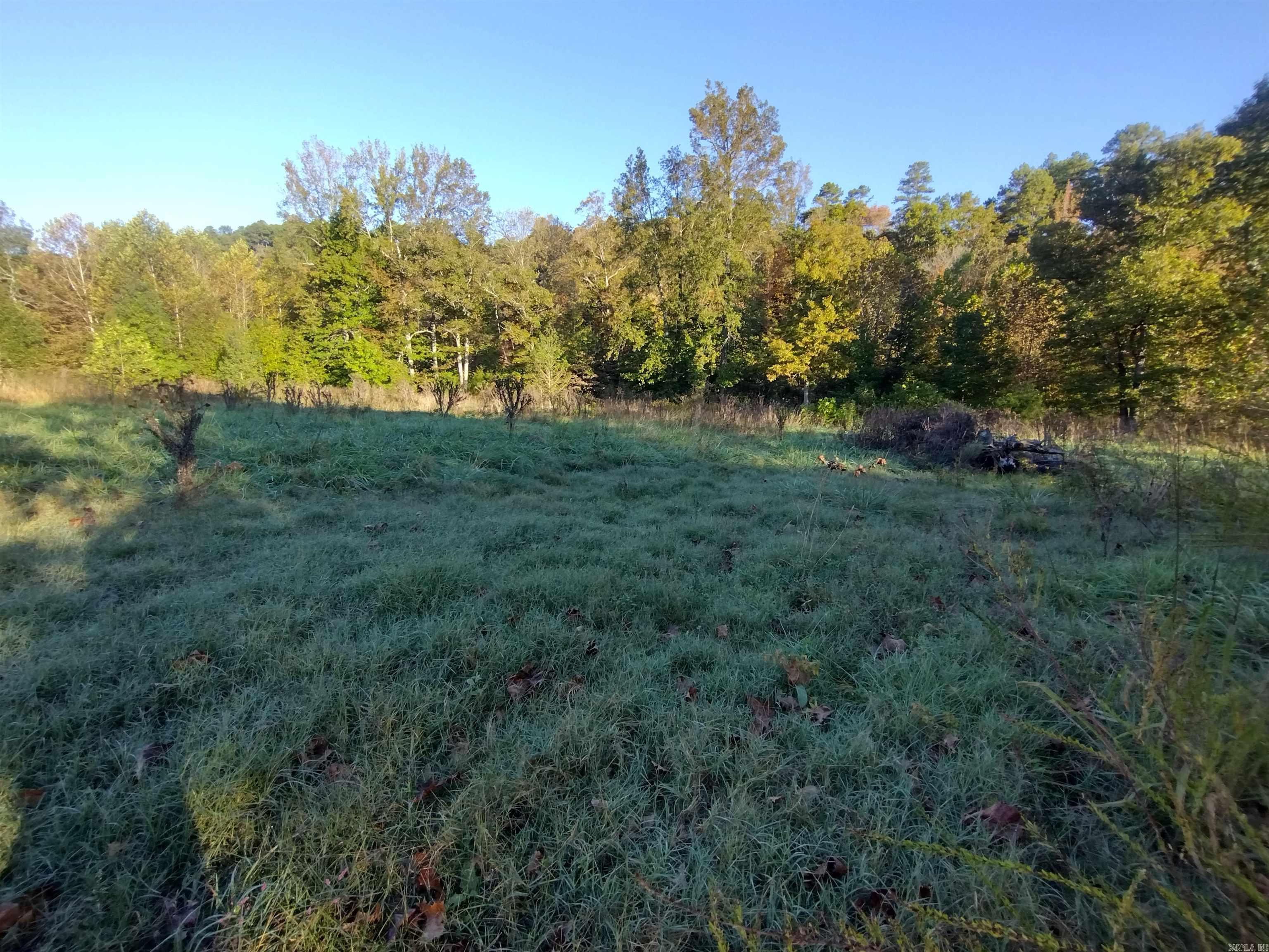 1000 Arvid Maeland Blvd  Mountain View, AR