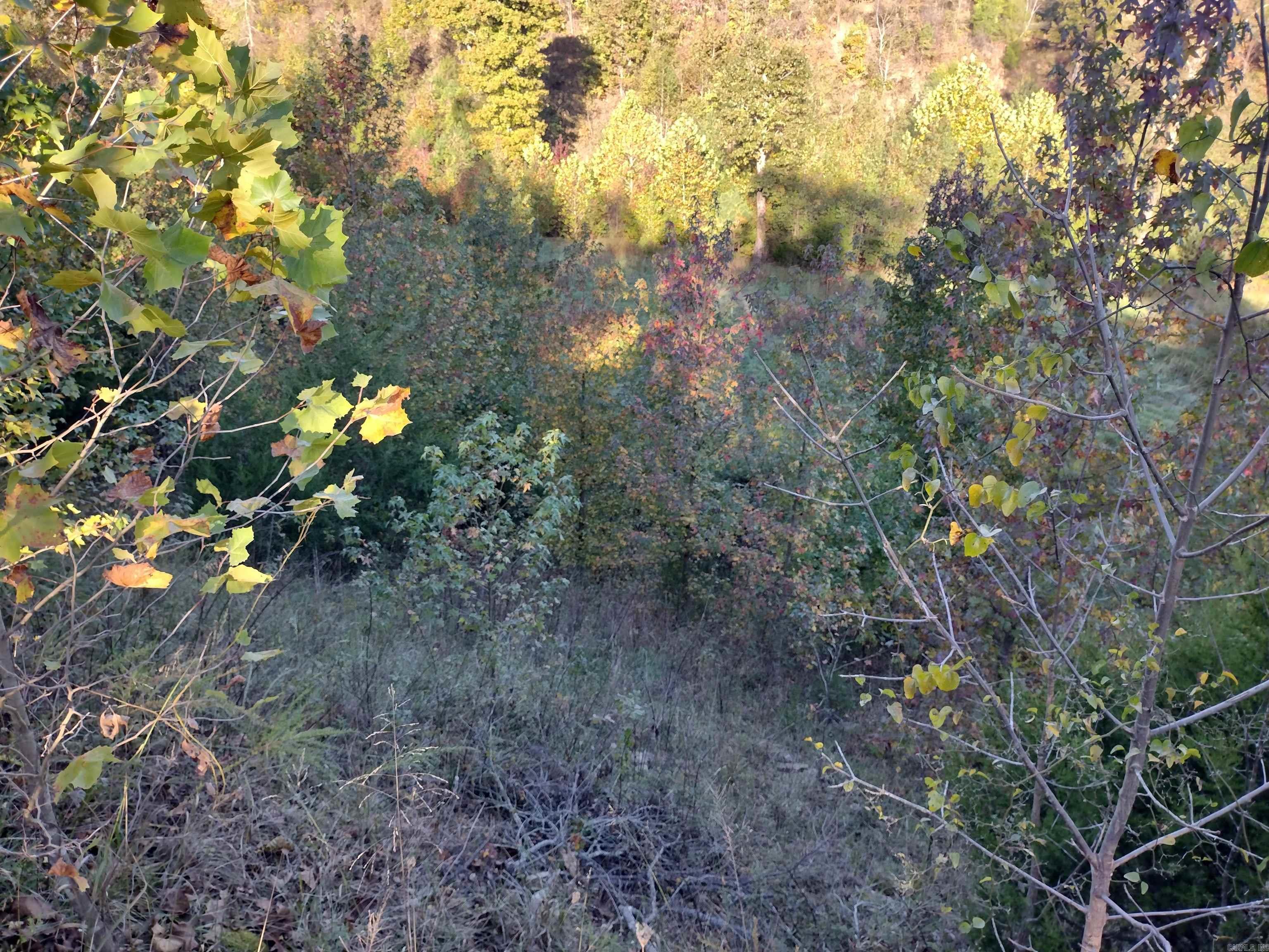 1000 Arvid Maeland Blvd  Mountain View, AR