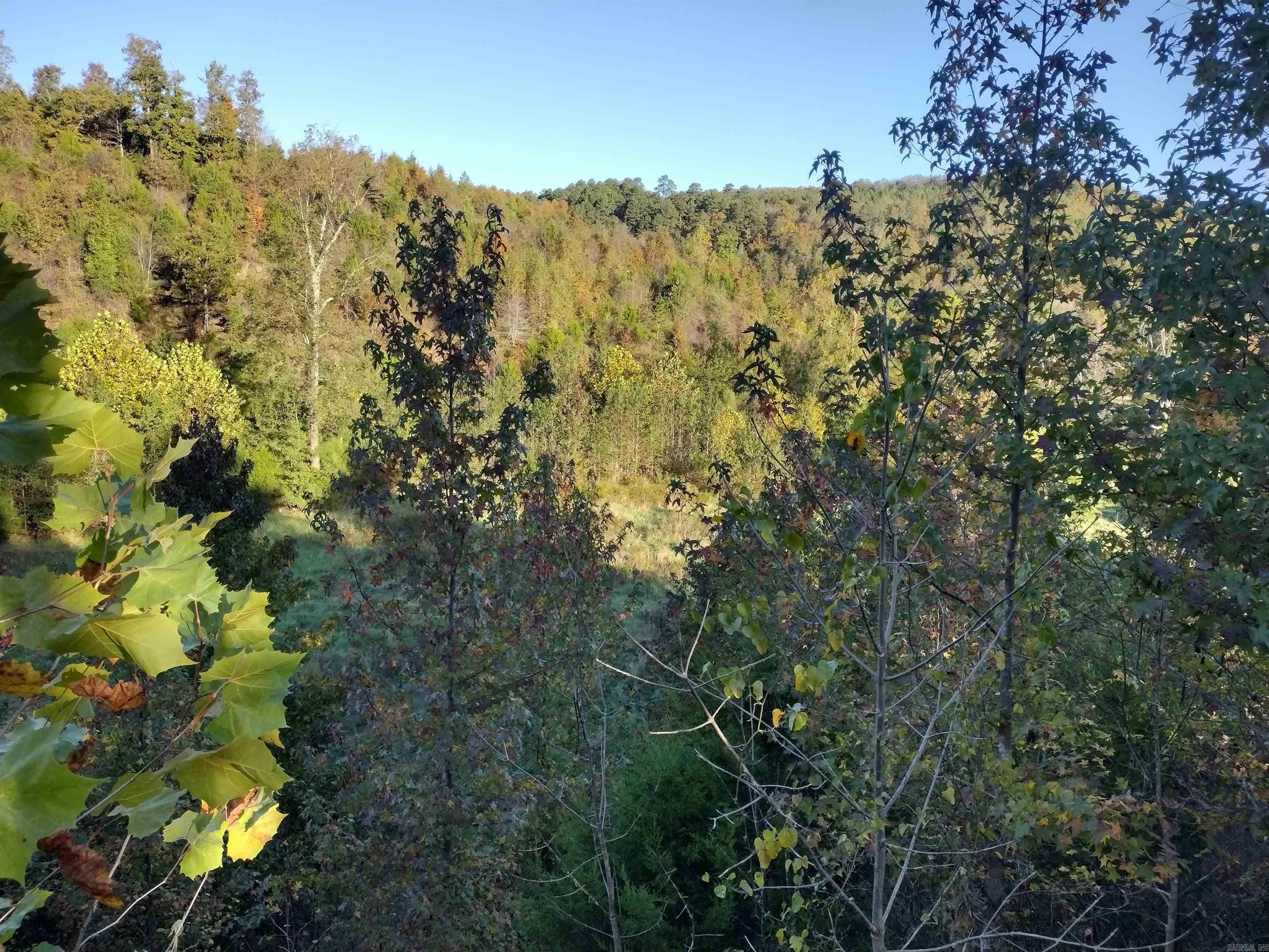 1000 Arvid Maeland Blvd  Mountain View, AR