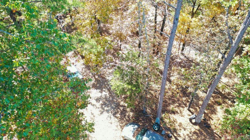 2110 W Hwy 270  Mount Ida, AR