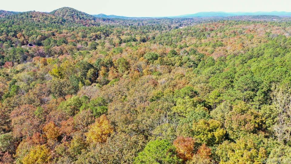 2110 W Hwy 270  Mount Ida, AR