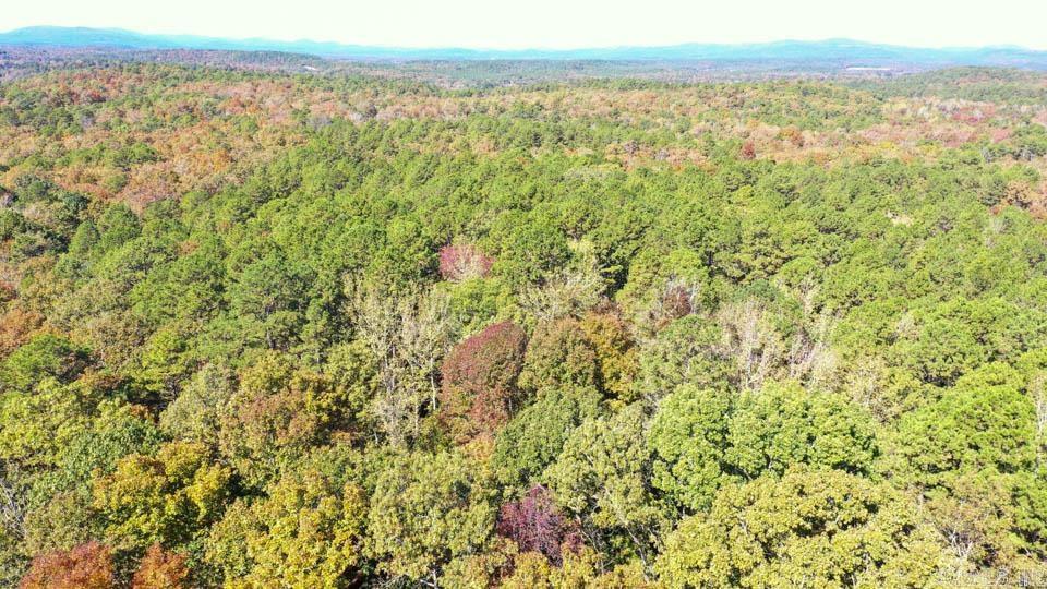 2110 W Hwy 270  Mount Ida, AR