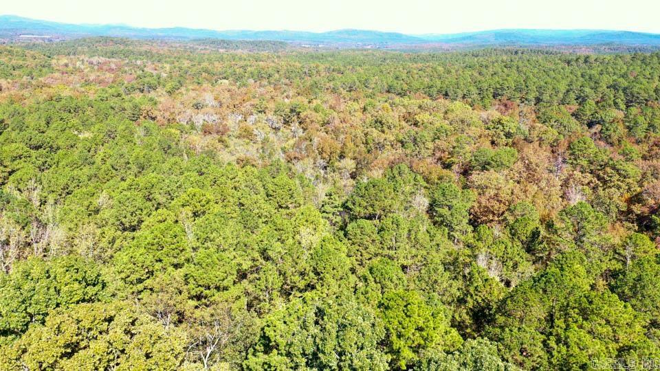 2110 W Hwy 270  Mount Ida, AR