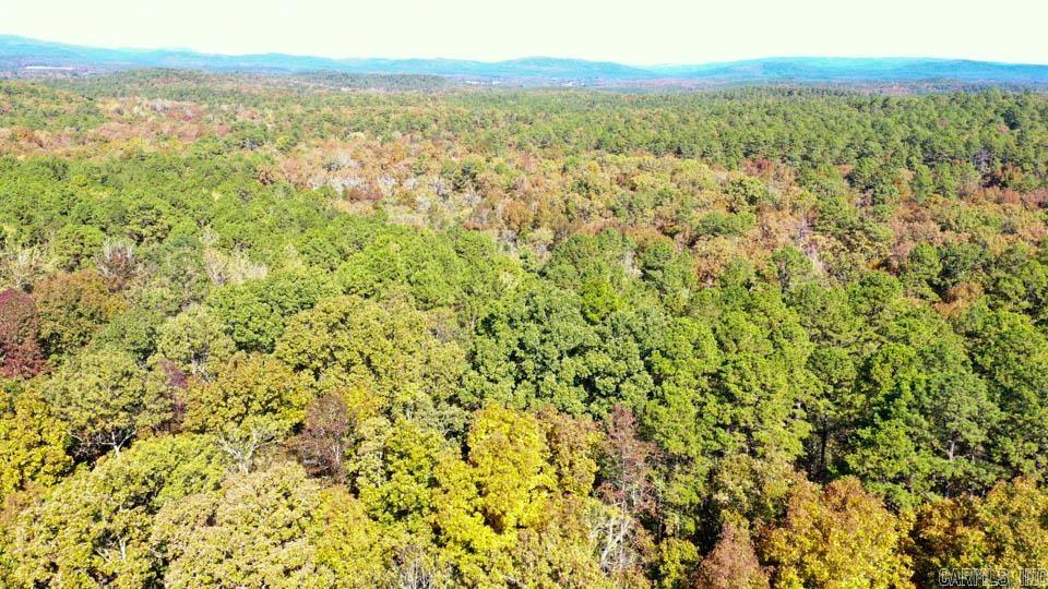 2110 W Hwy 270  Mount Ida, AR