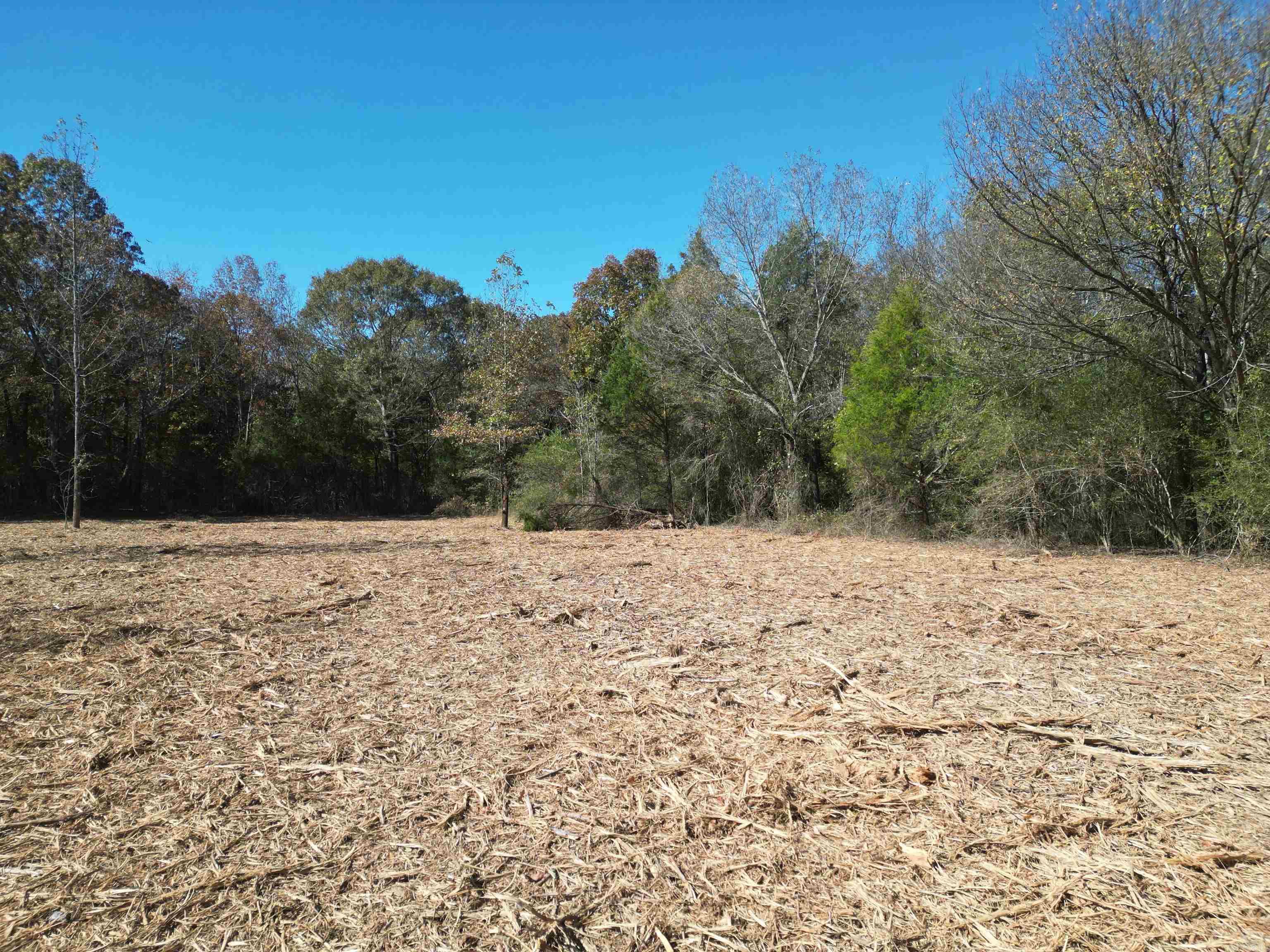 000 Little Red Mountain  Pangburn, AR