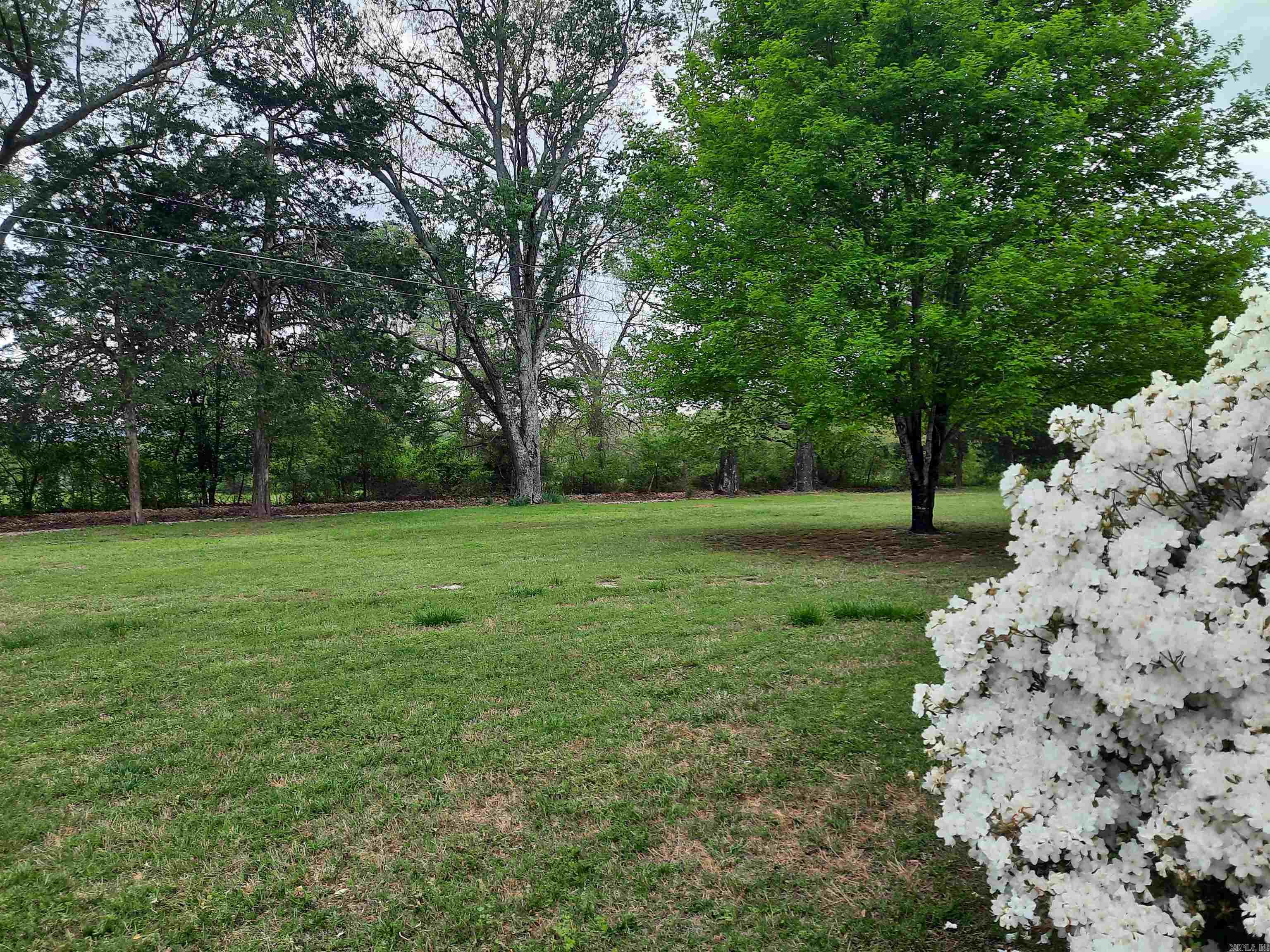 506 Hell Creek  Mountain View, AR