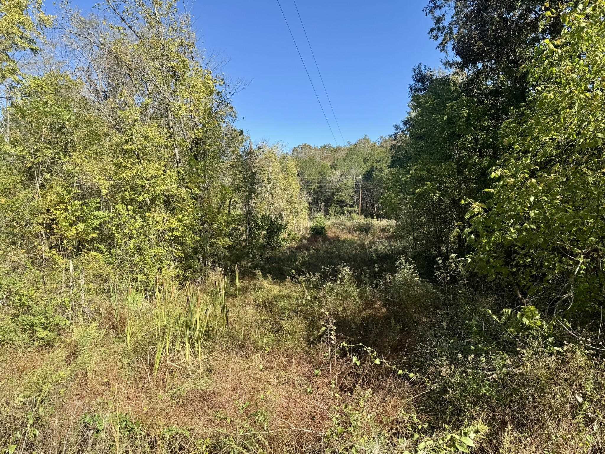 4.5A Honeysuckle Lane  Franklin, AR