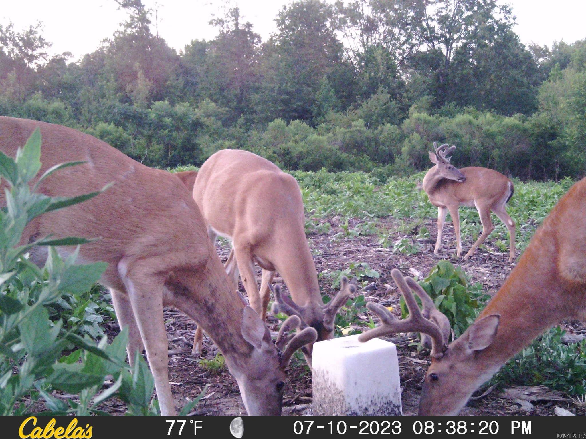 7721 Walters Chapel Rd  Carlisle, AR