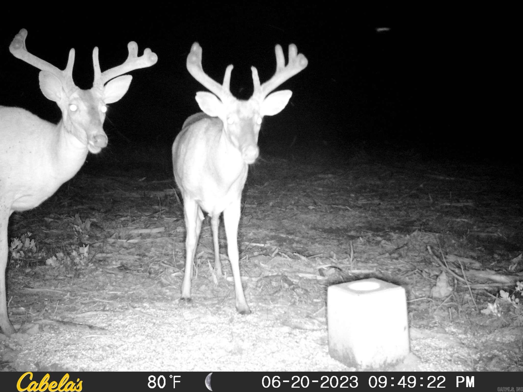 7721 Walters Chapel Rd  Carlisle, AR