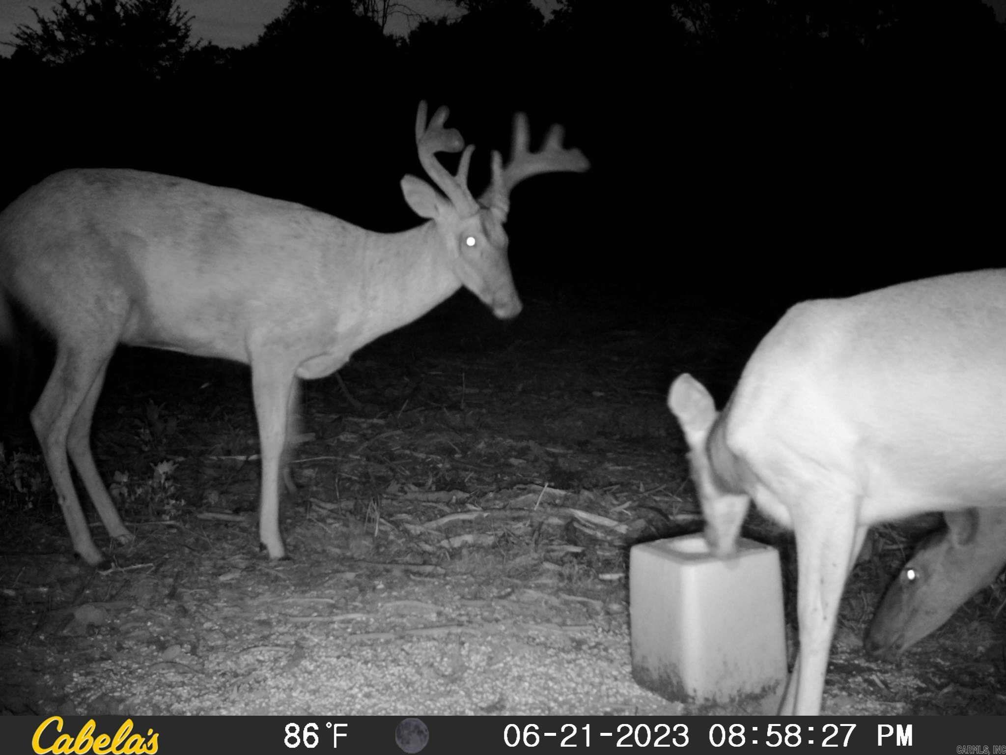 7721 Walters Chapel Rd  Carlisle, AR