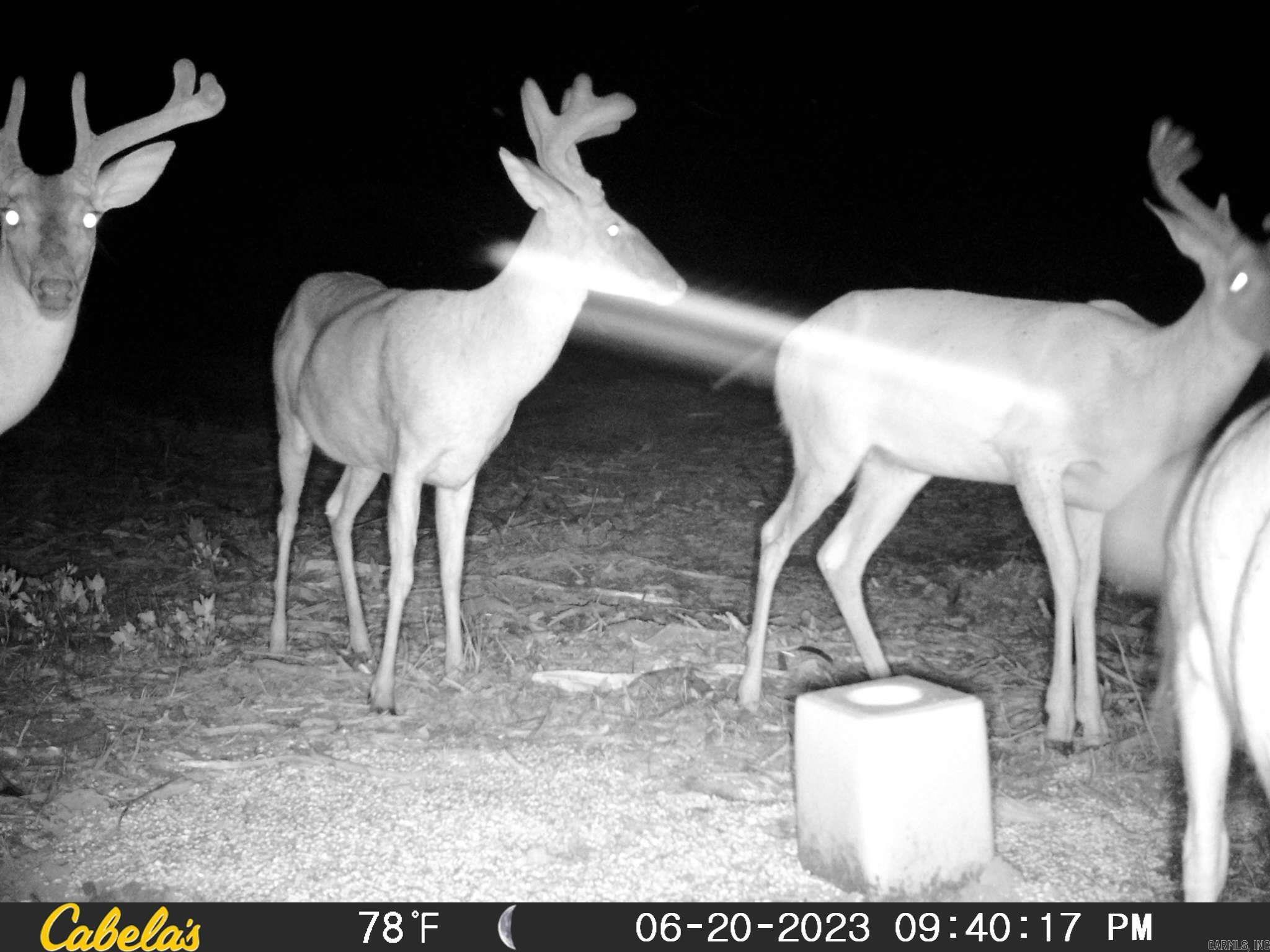 7721 Walters Chapel Rd  Carlisle, AR