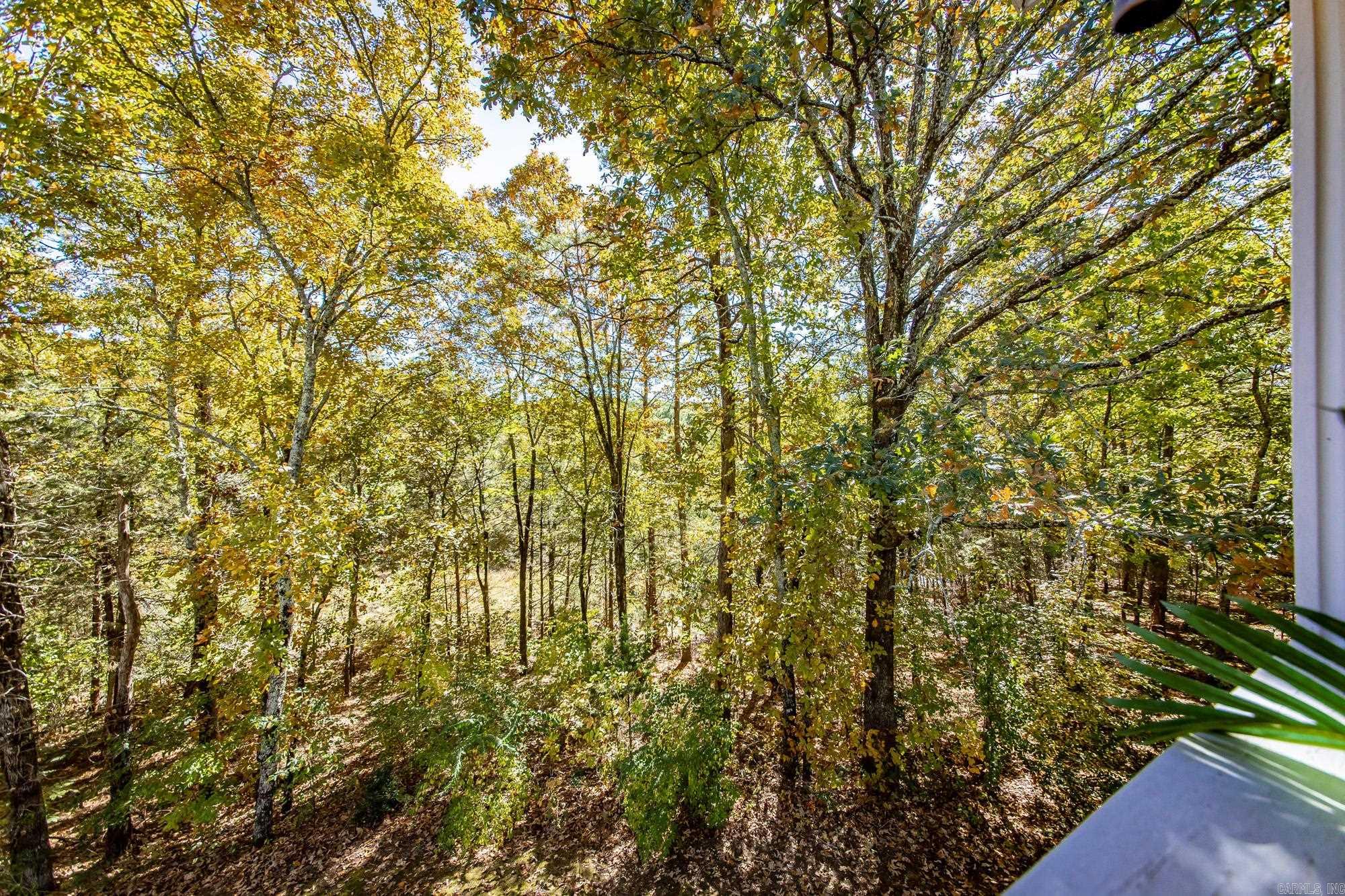 3032 Summerhill Place Fairfield Bay, AR 72088