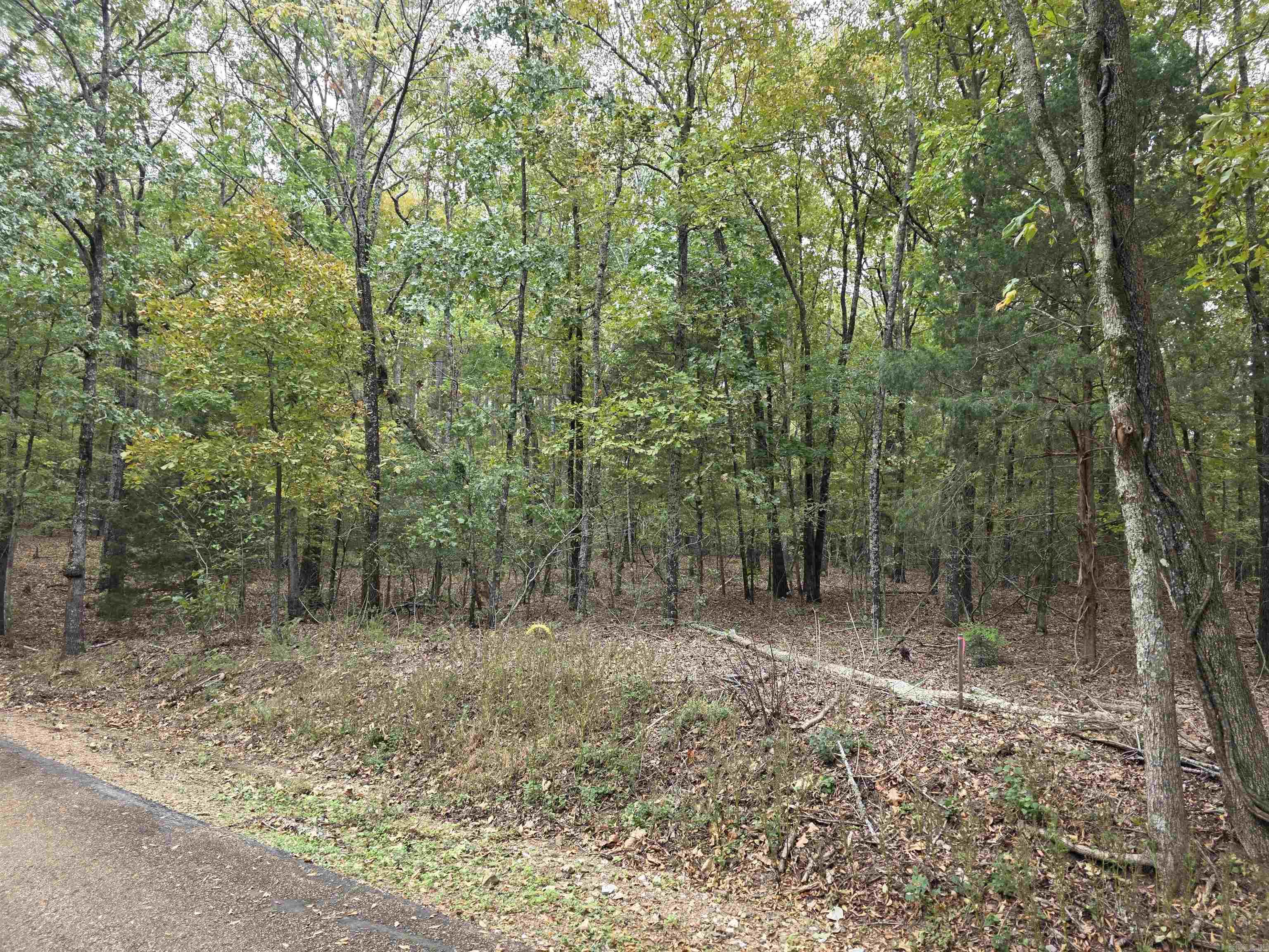  Lot 182 Tannenbaum Road  Drasco, AR