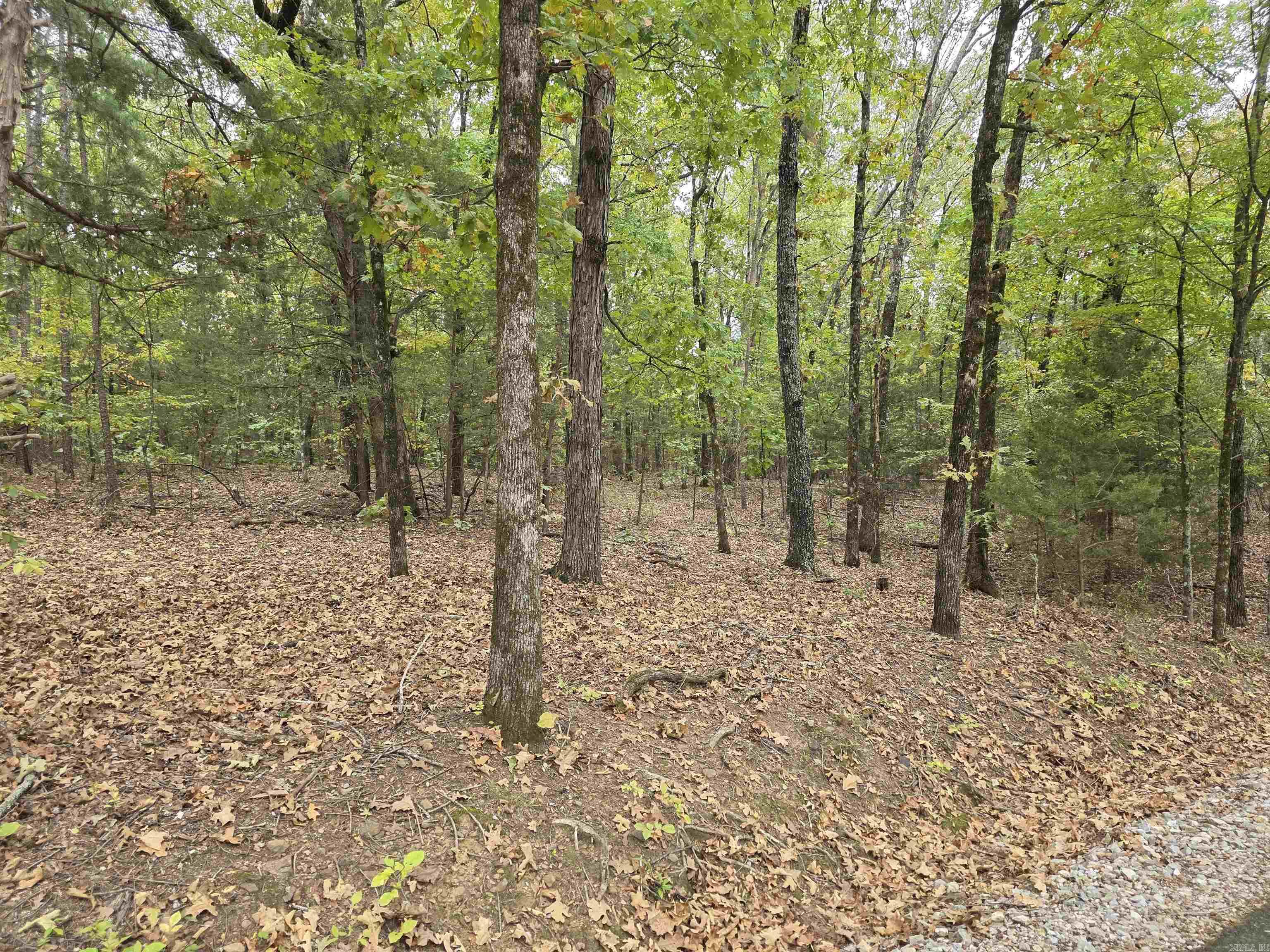  Lot 182 Tannenbaum Road  Drasco, AR