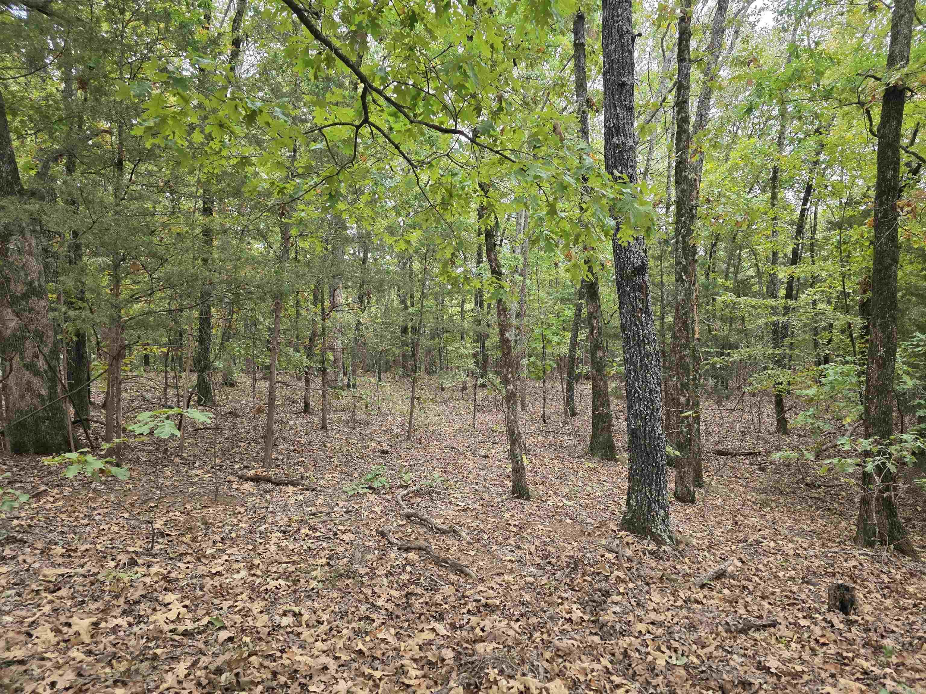  Lot 182 Tannenbaum Road  Drasco, AR