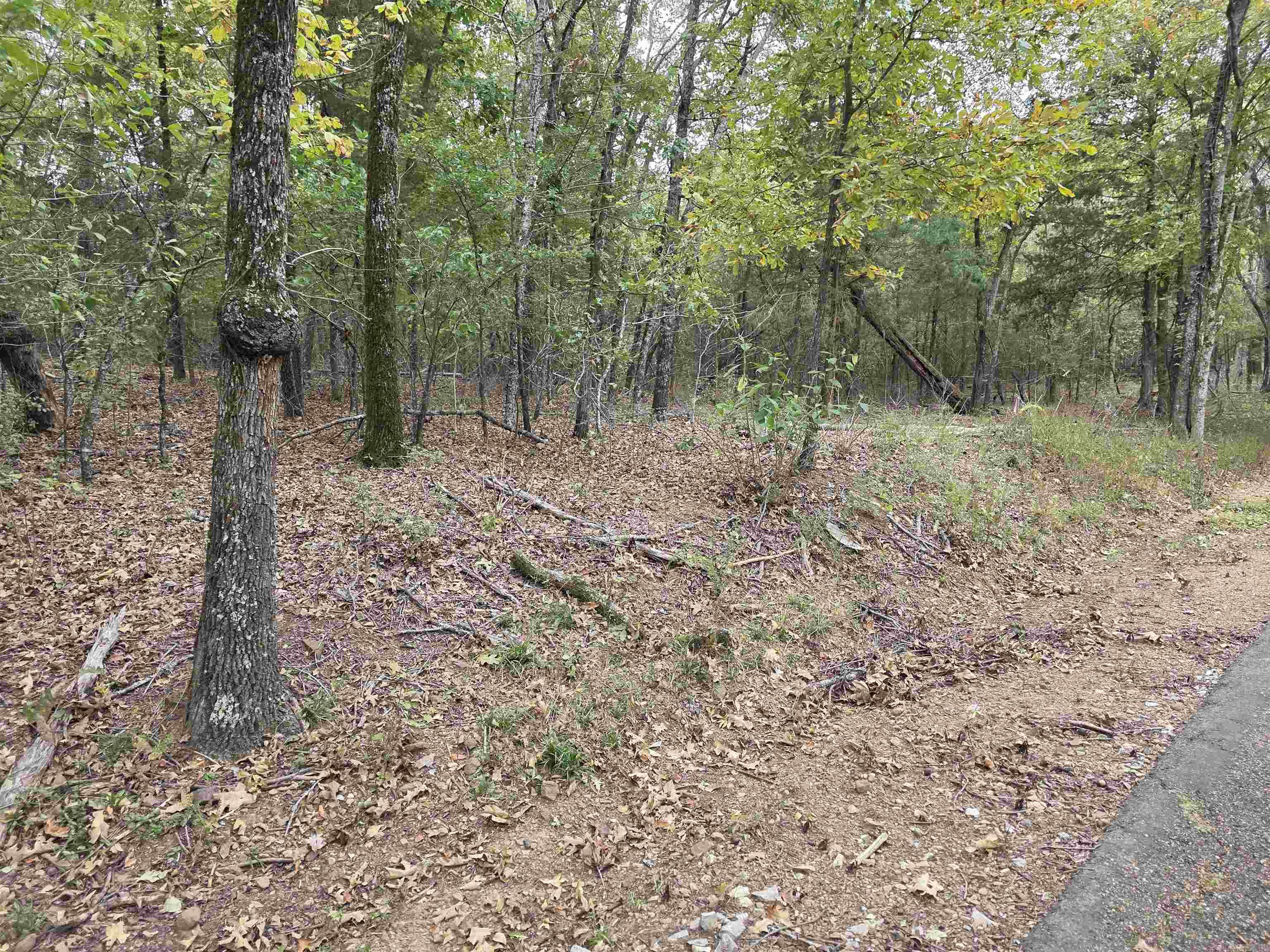  Lot 182 Tannenbaum Road  Drasco, AR