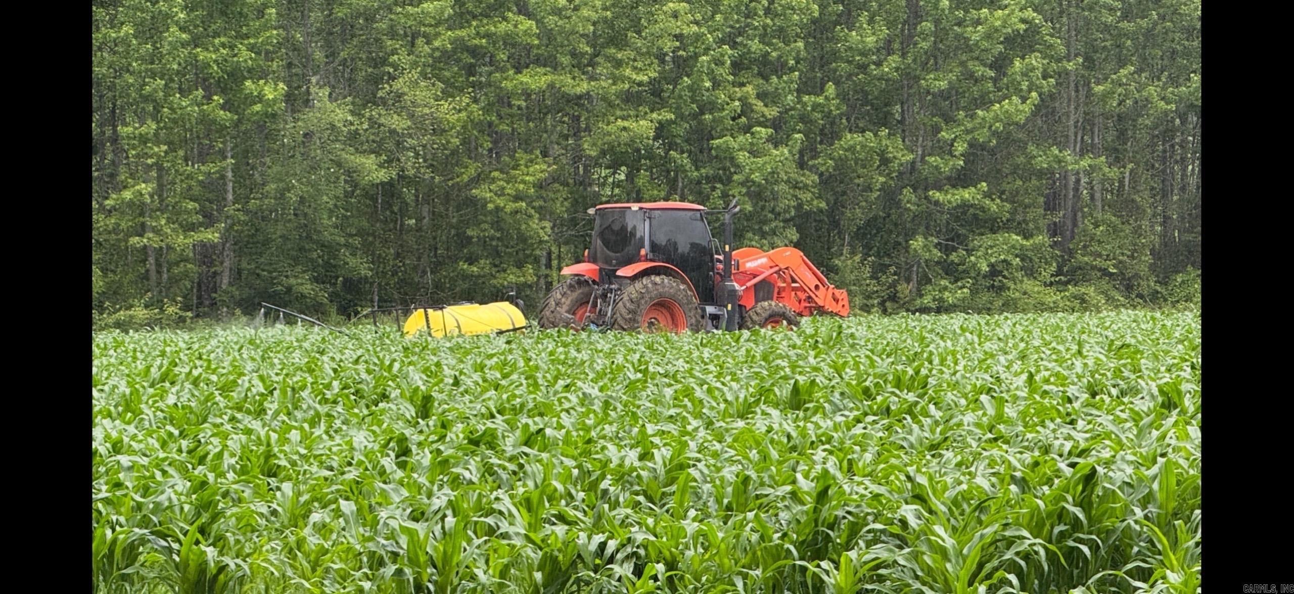 548 Cornerstone  Pleasant Plains, AR