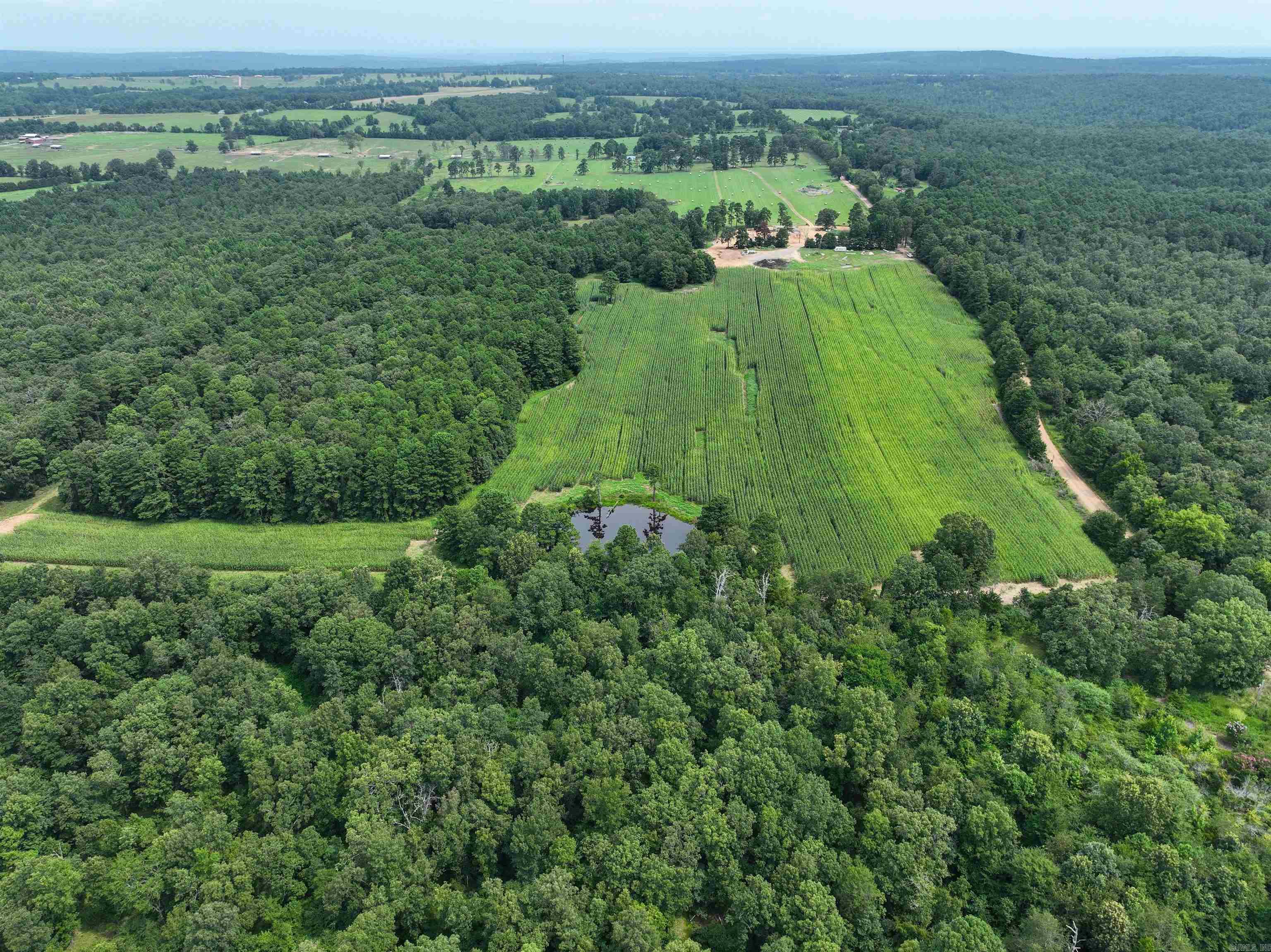 548 Cornerstone  Pleasant Plains, AR