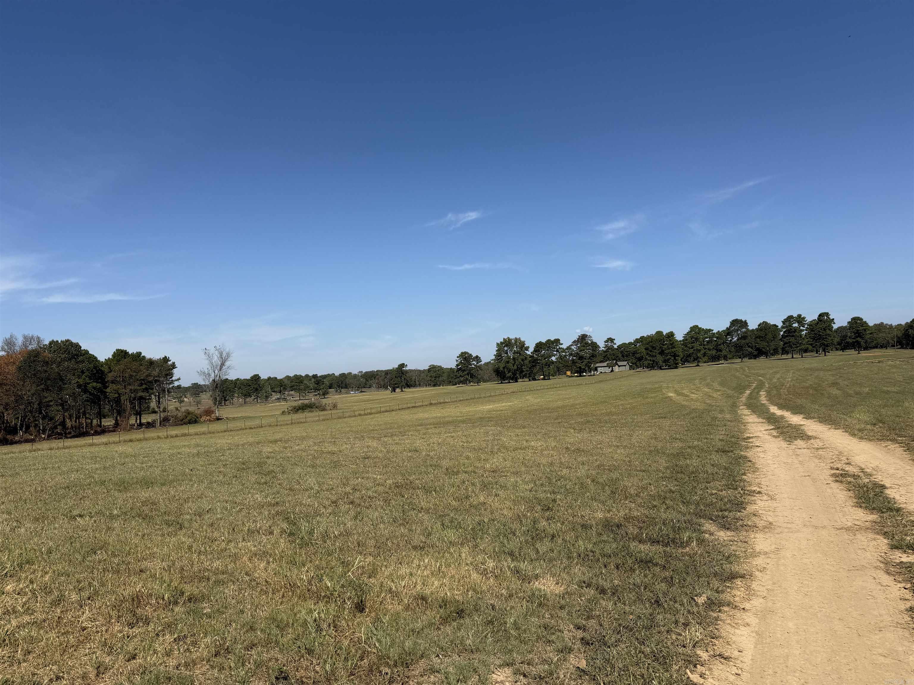 548 Cornerstone  Pleasant Plains, AR