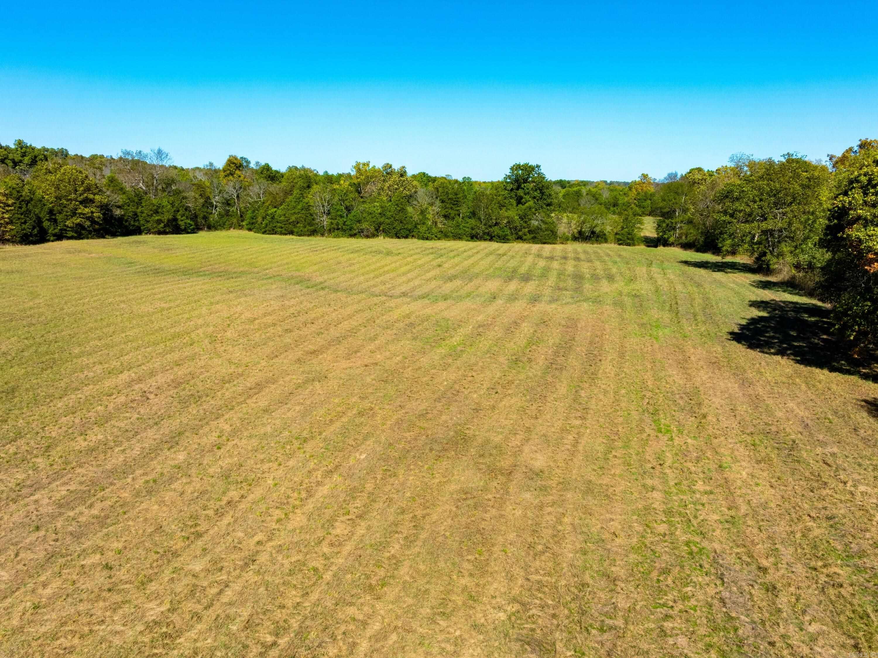 1742 Flora Church Trl  Viola, AR