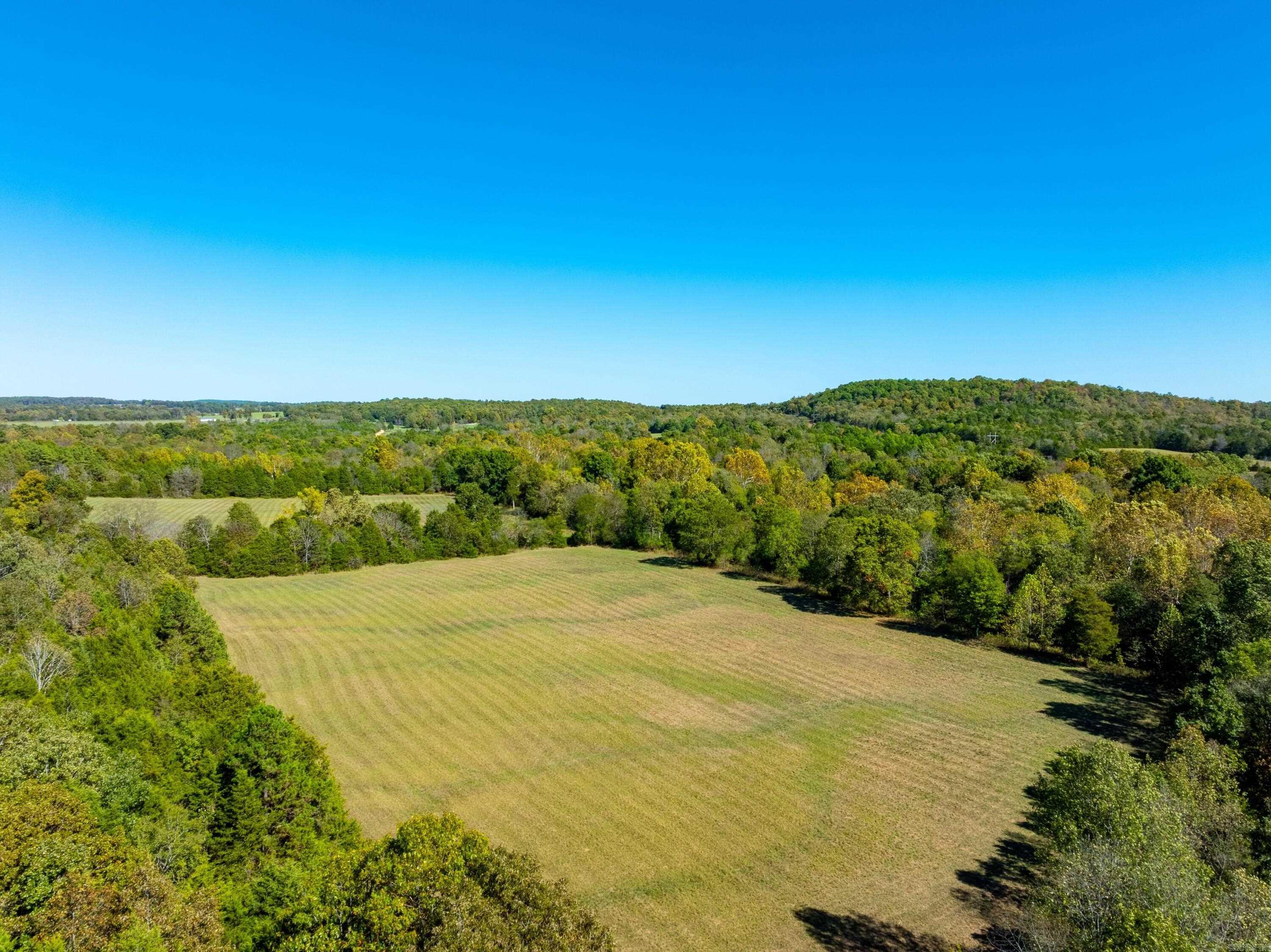 1742 Flora Church Trl  Viola, AR