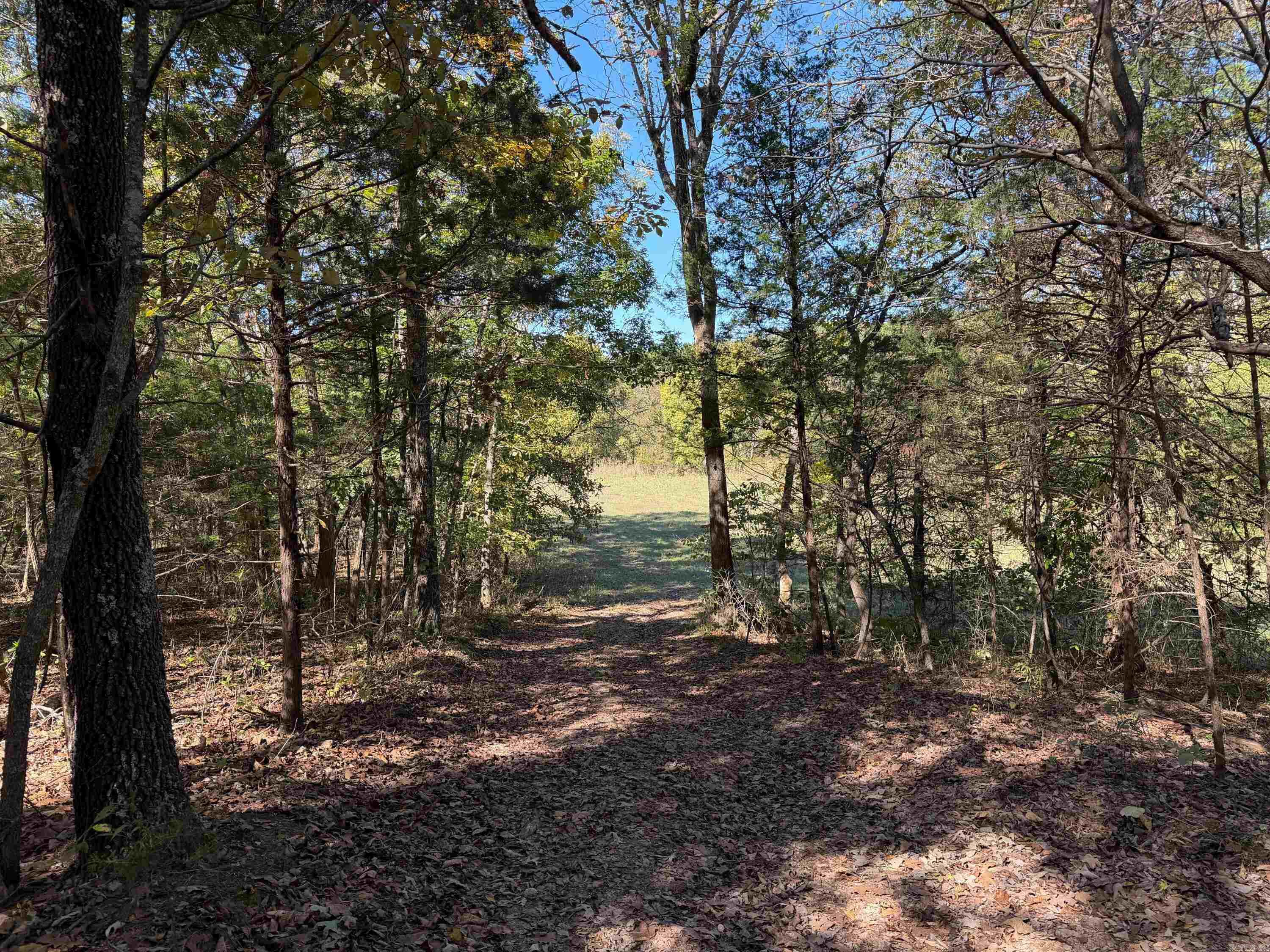 1742 Flora Church Trl  Viola, AR