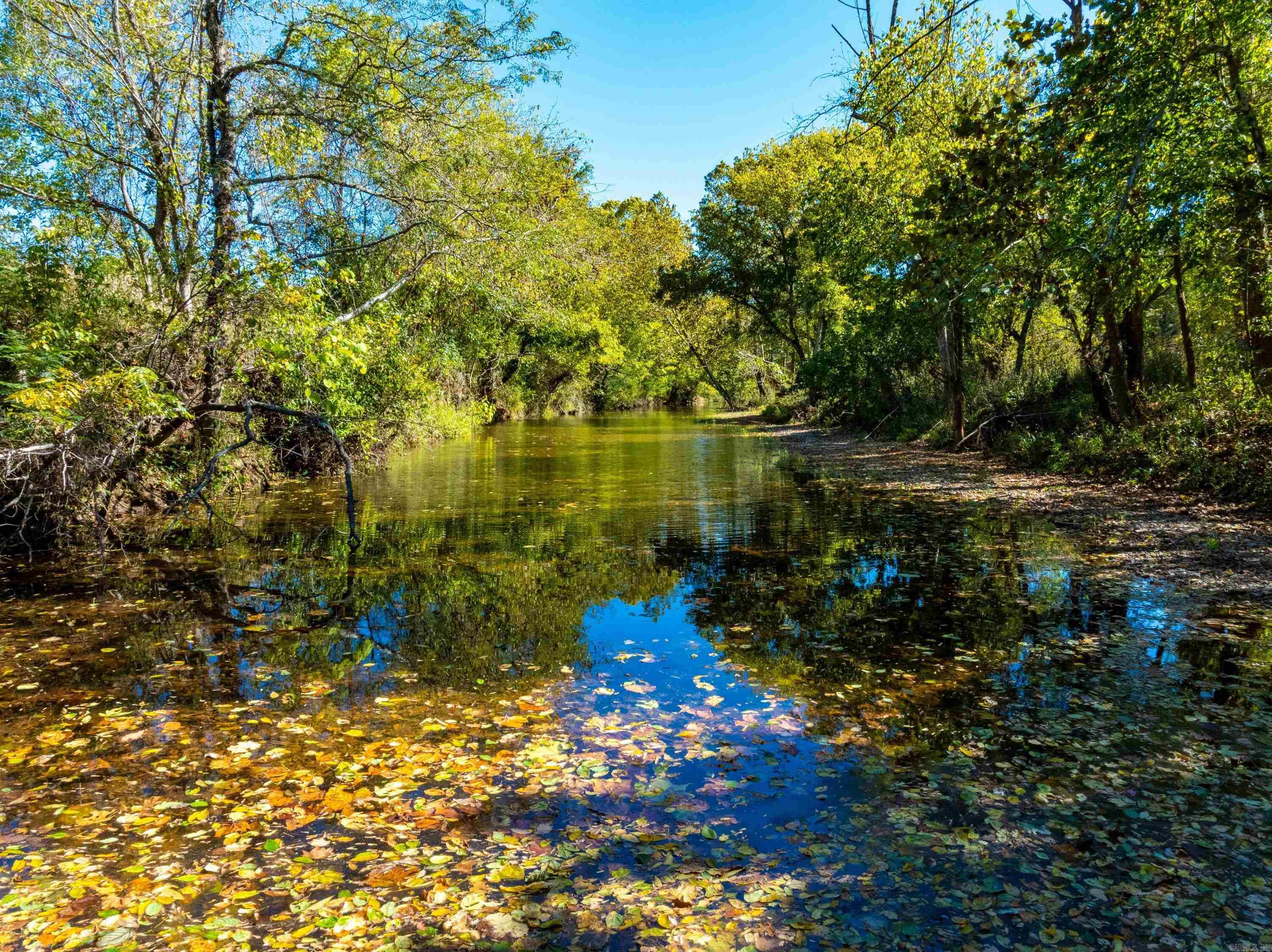 1742 Flora Church Trl  Viola, AR