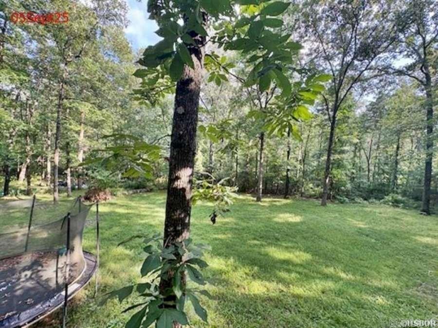 199 Bert Dickey Rd  Heber Springs, AR