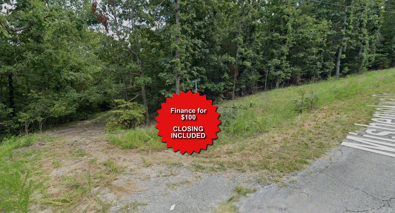 Lot 17 Mishemokwa  Cherokee Village, AR