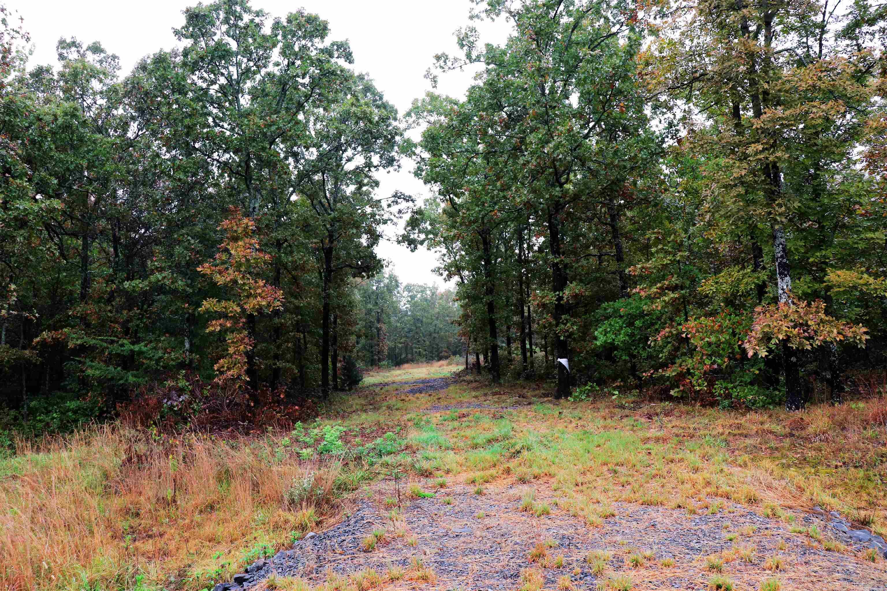 14 Calvary  Conway, AR