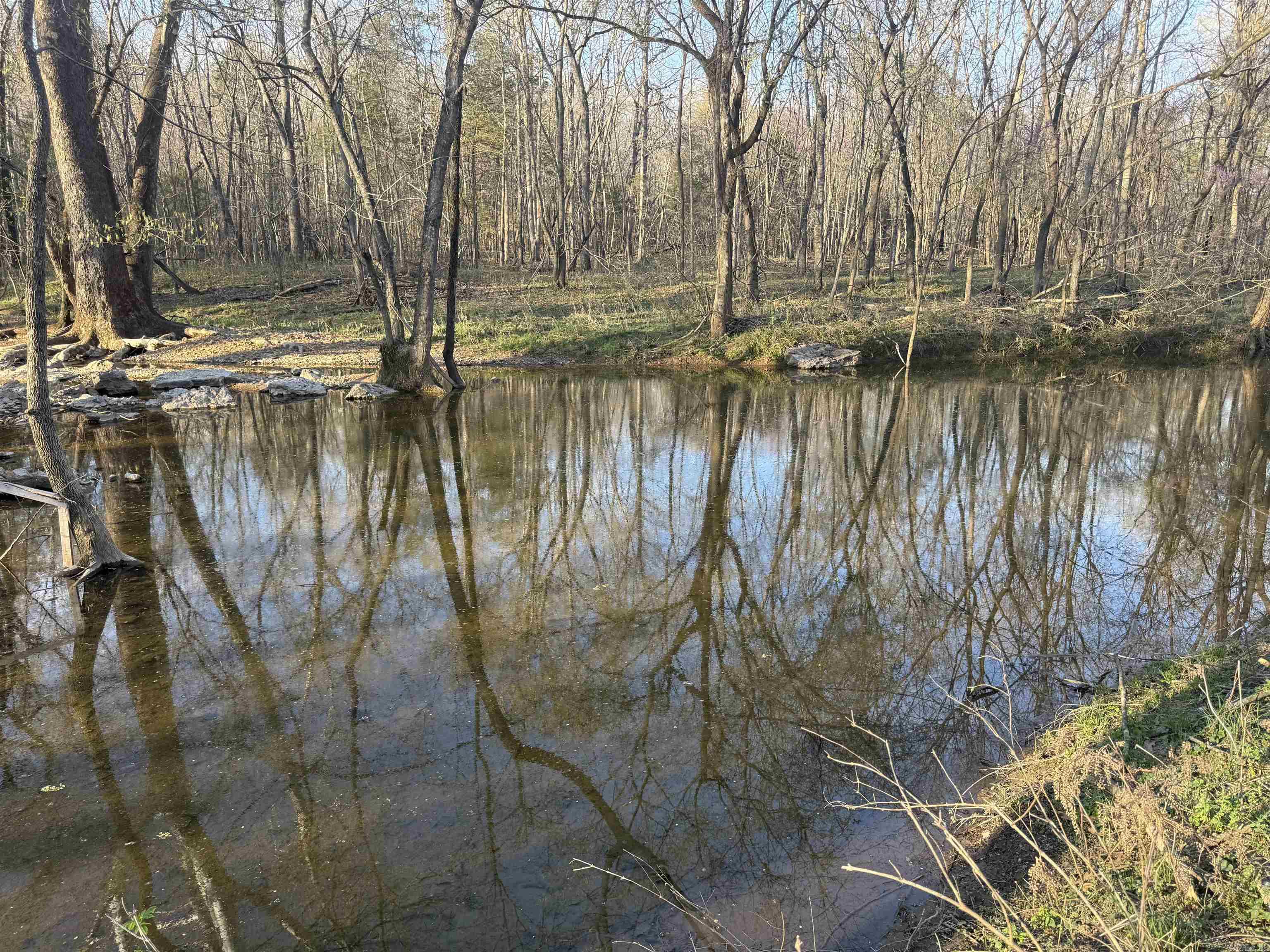 1229 Buford Spur Mountain Home, AR 72653