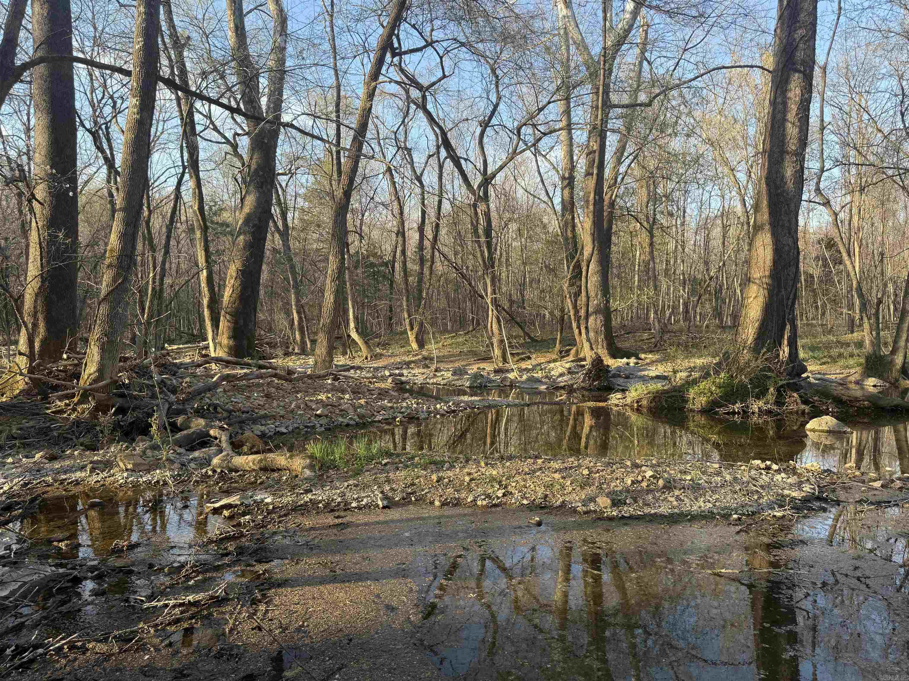 1229 Buford Spur Mountain Home, AR 72653