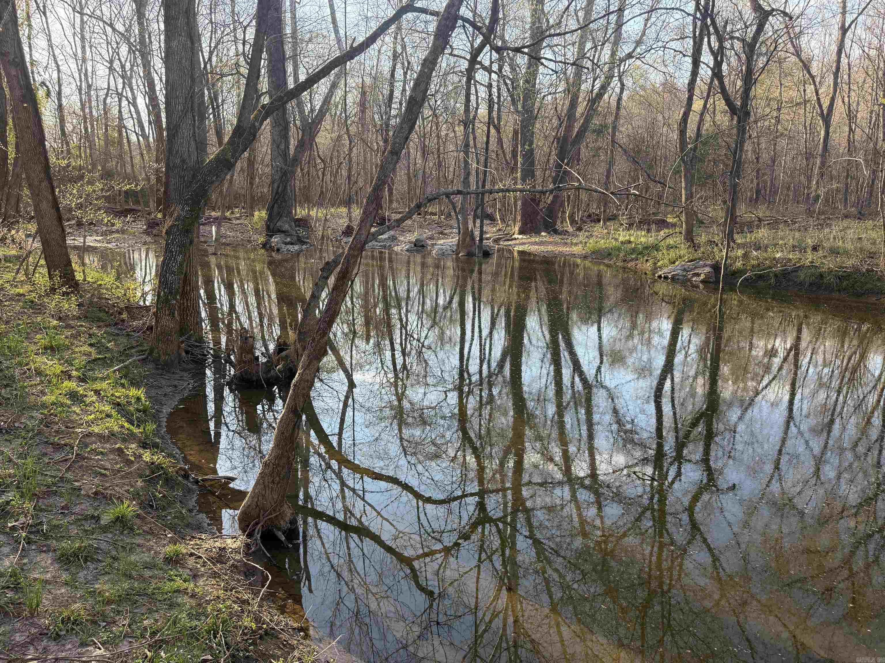 1229 Buford Spur Mountain Home, AR 72653