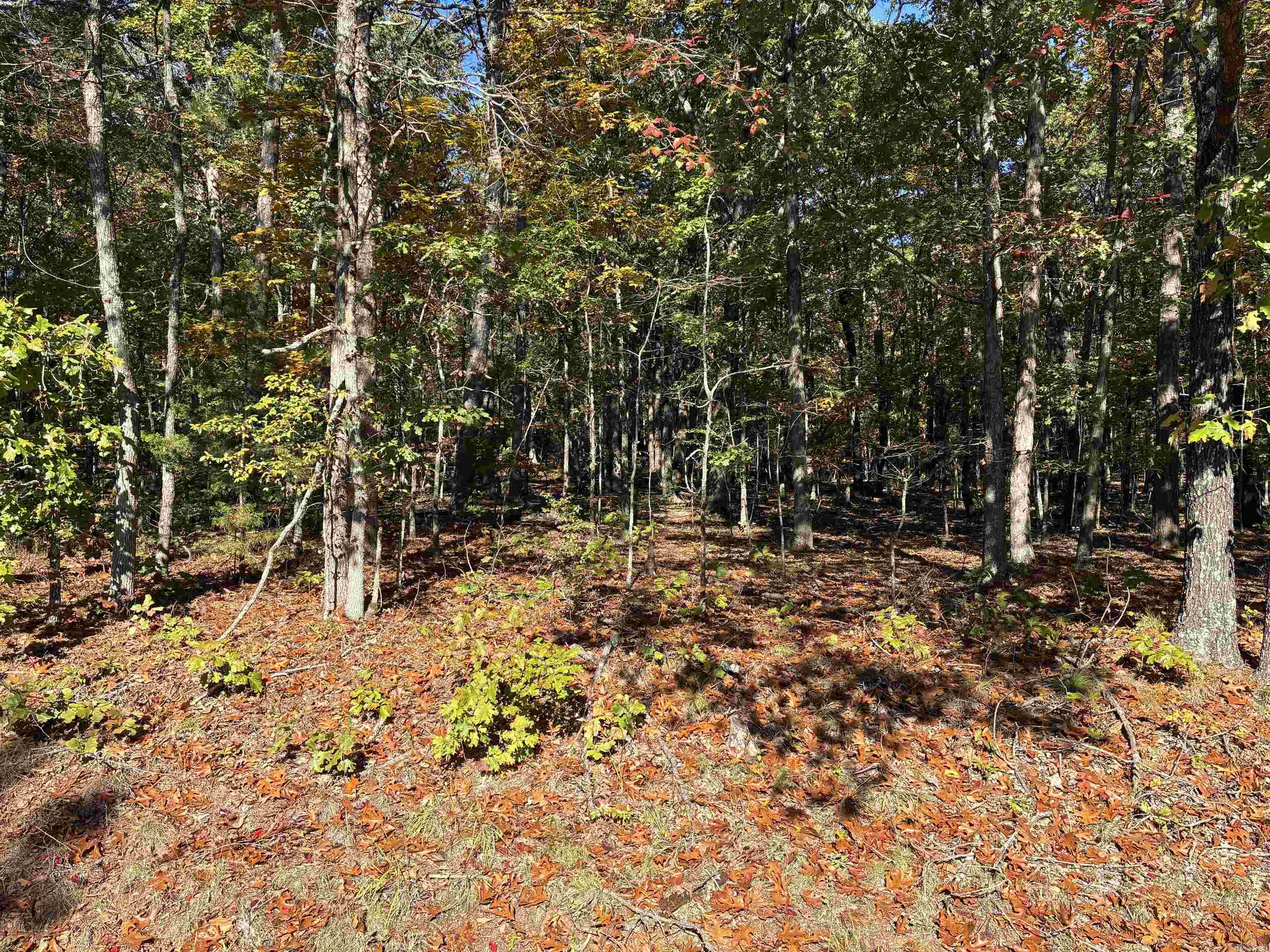 00 Dunlop  Fairfield Bay, AR