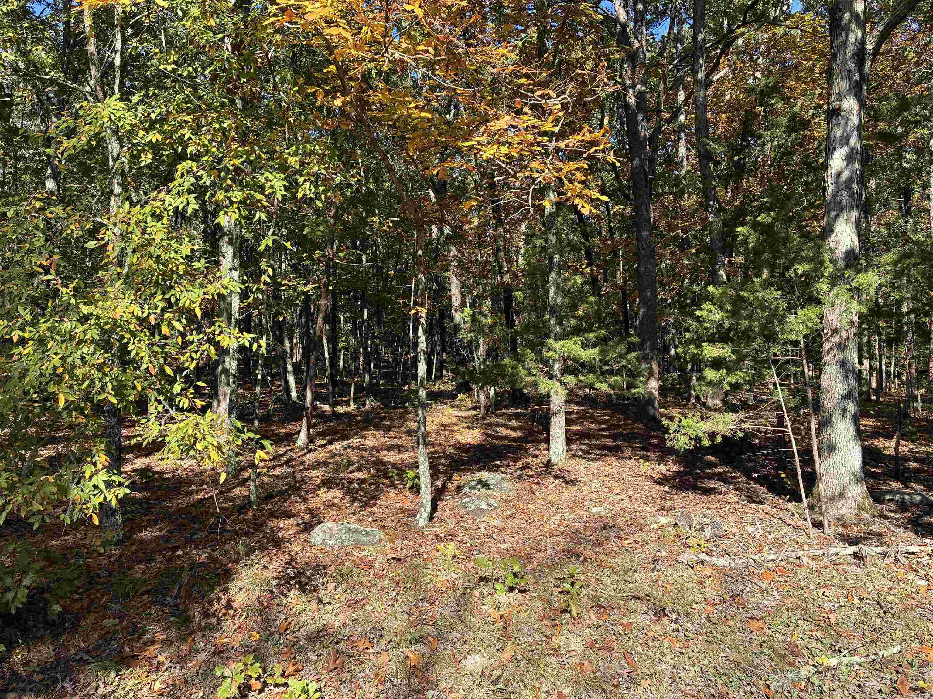 00 Dunlop  Fairfield Bay, AR