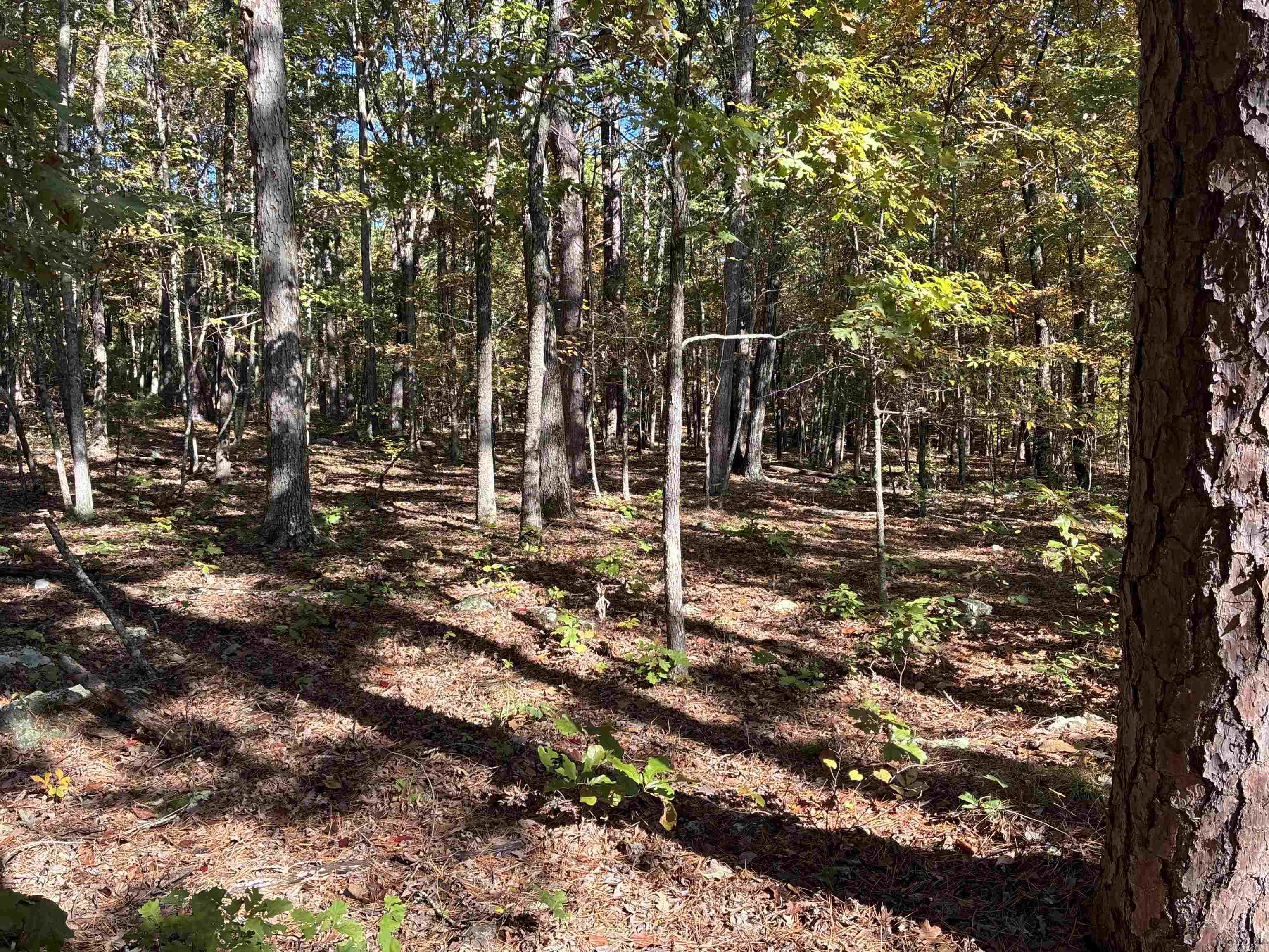 00 Dunlop  Fairfield Bay, AR