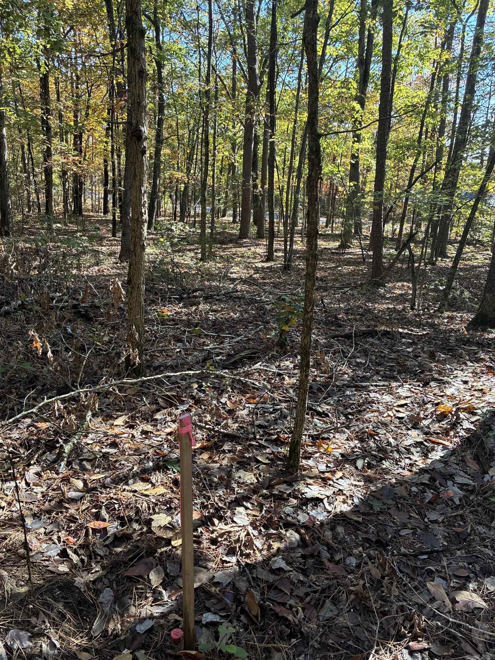 00 Dunlop  Fairfield Bay, AR