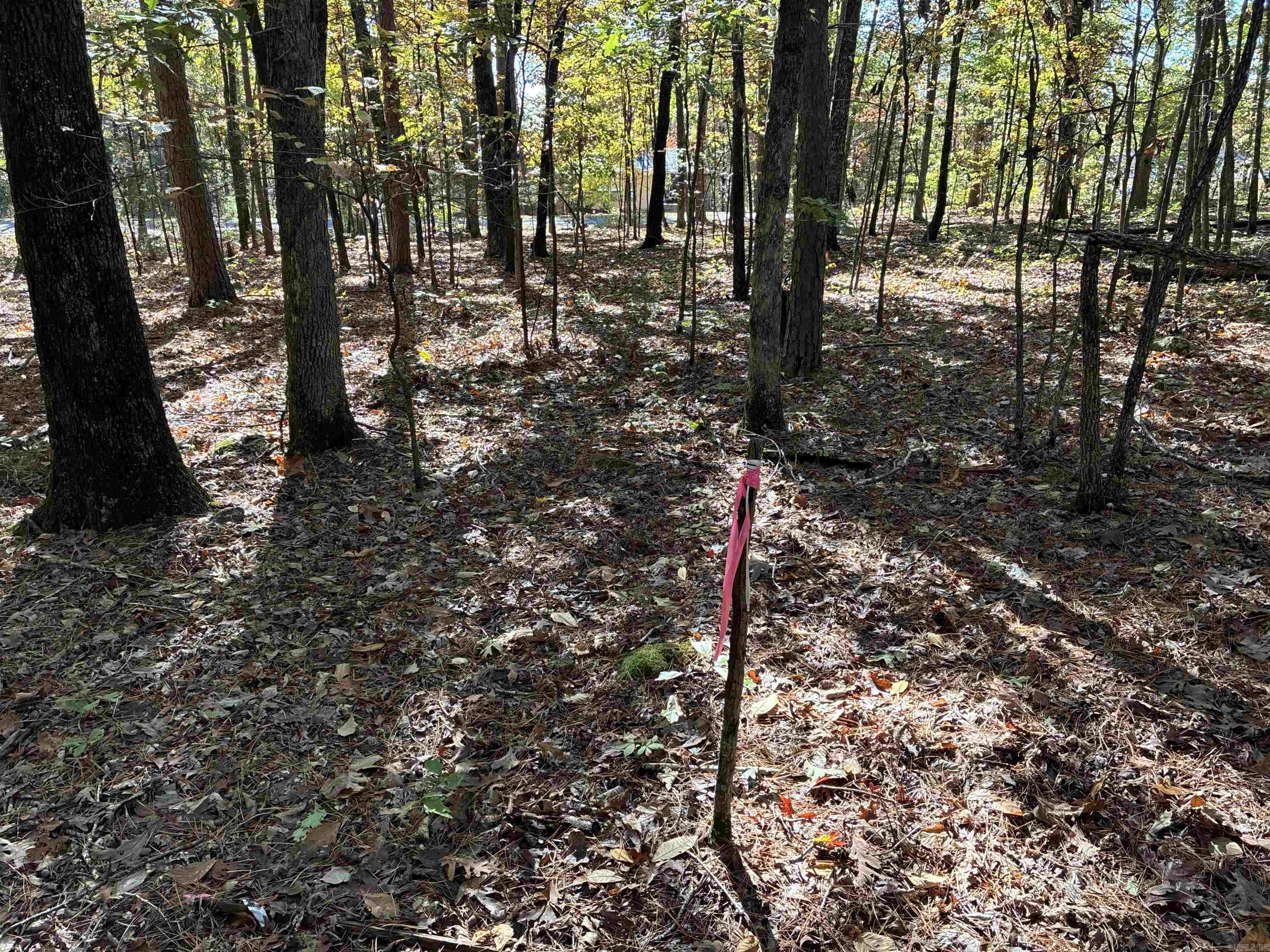 00 Dunlop  Fairfield Bay, AR