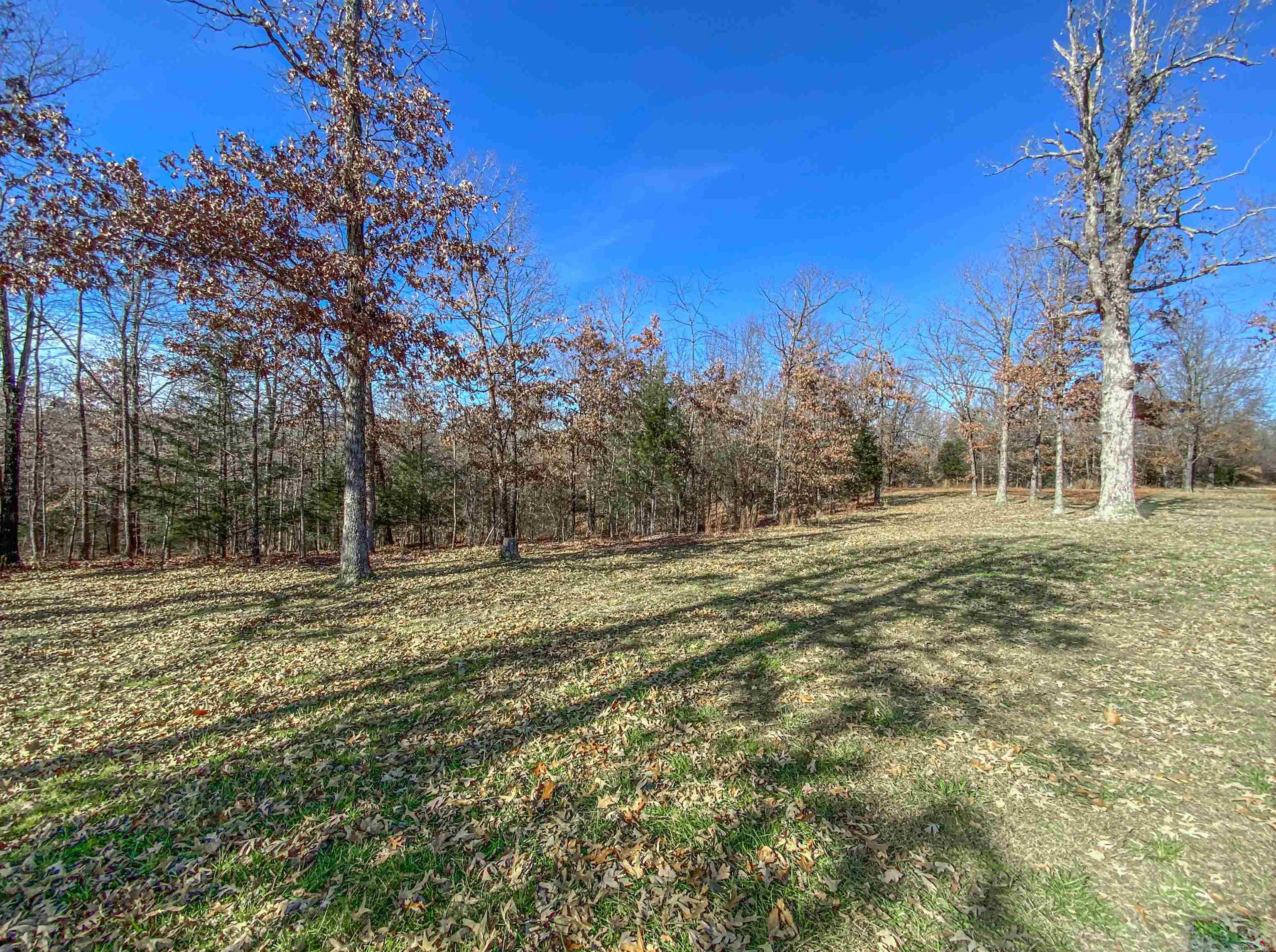 434 MC 5059 Valley Springs, AR 72682