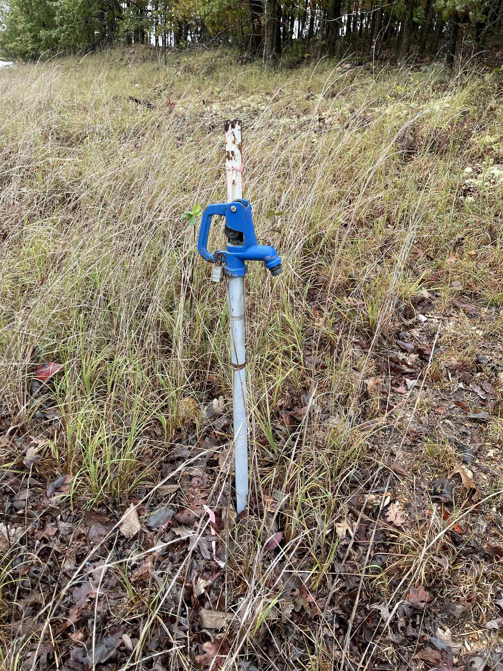 0 Echowood  Viola, AR