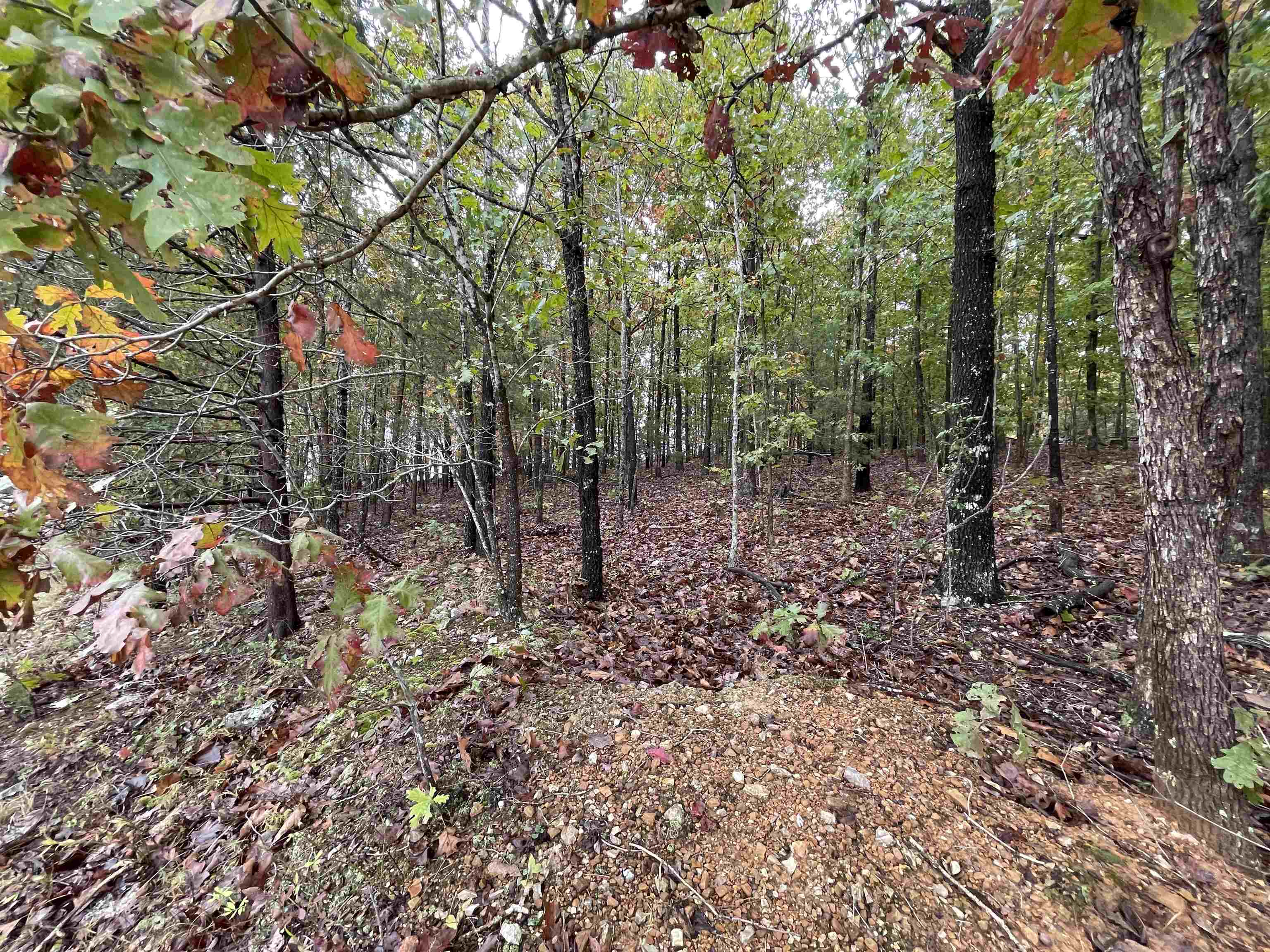 0 Echowood  Viola, AR