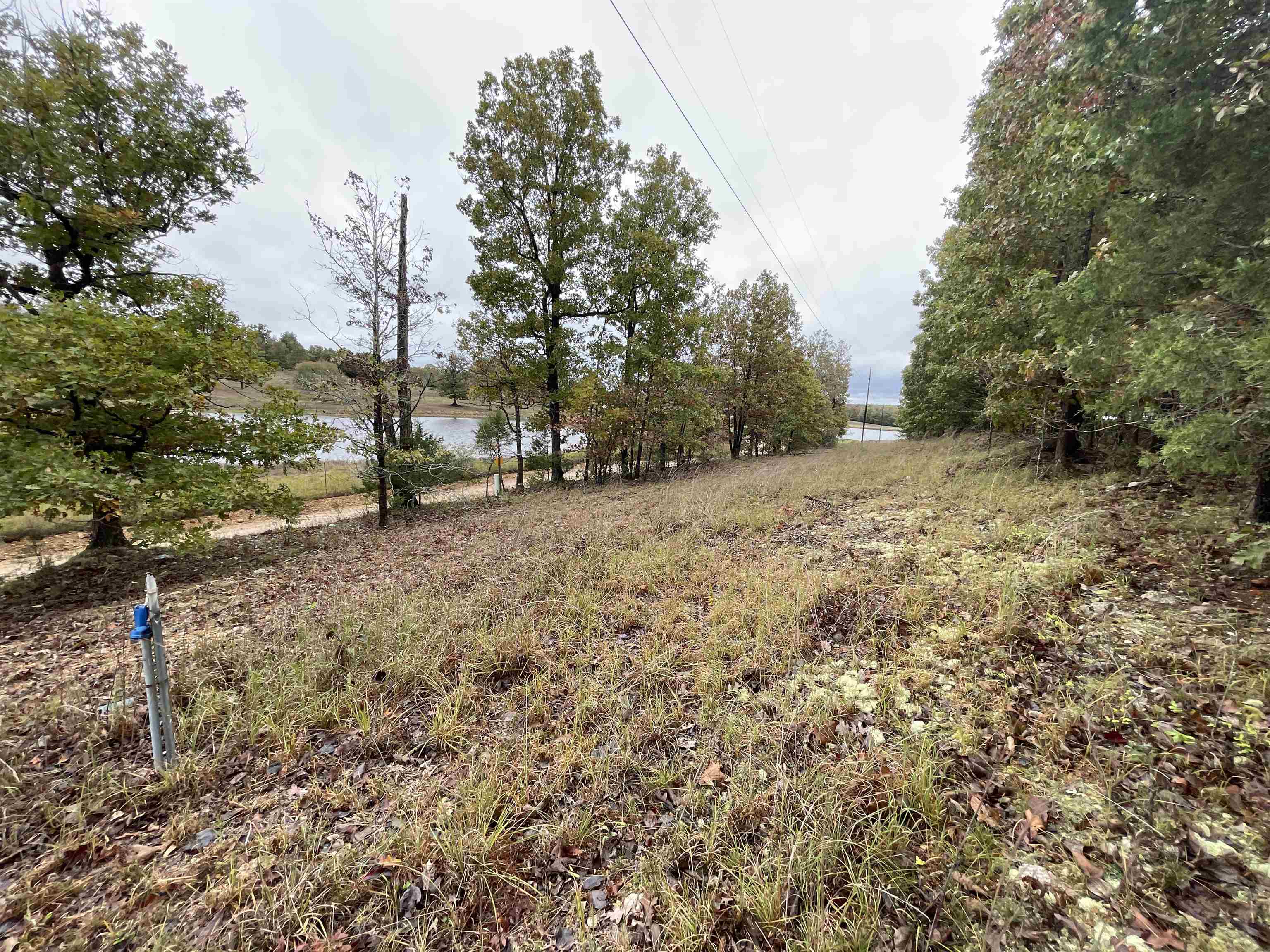 0 Echowood  Viola, AR