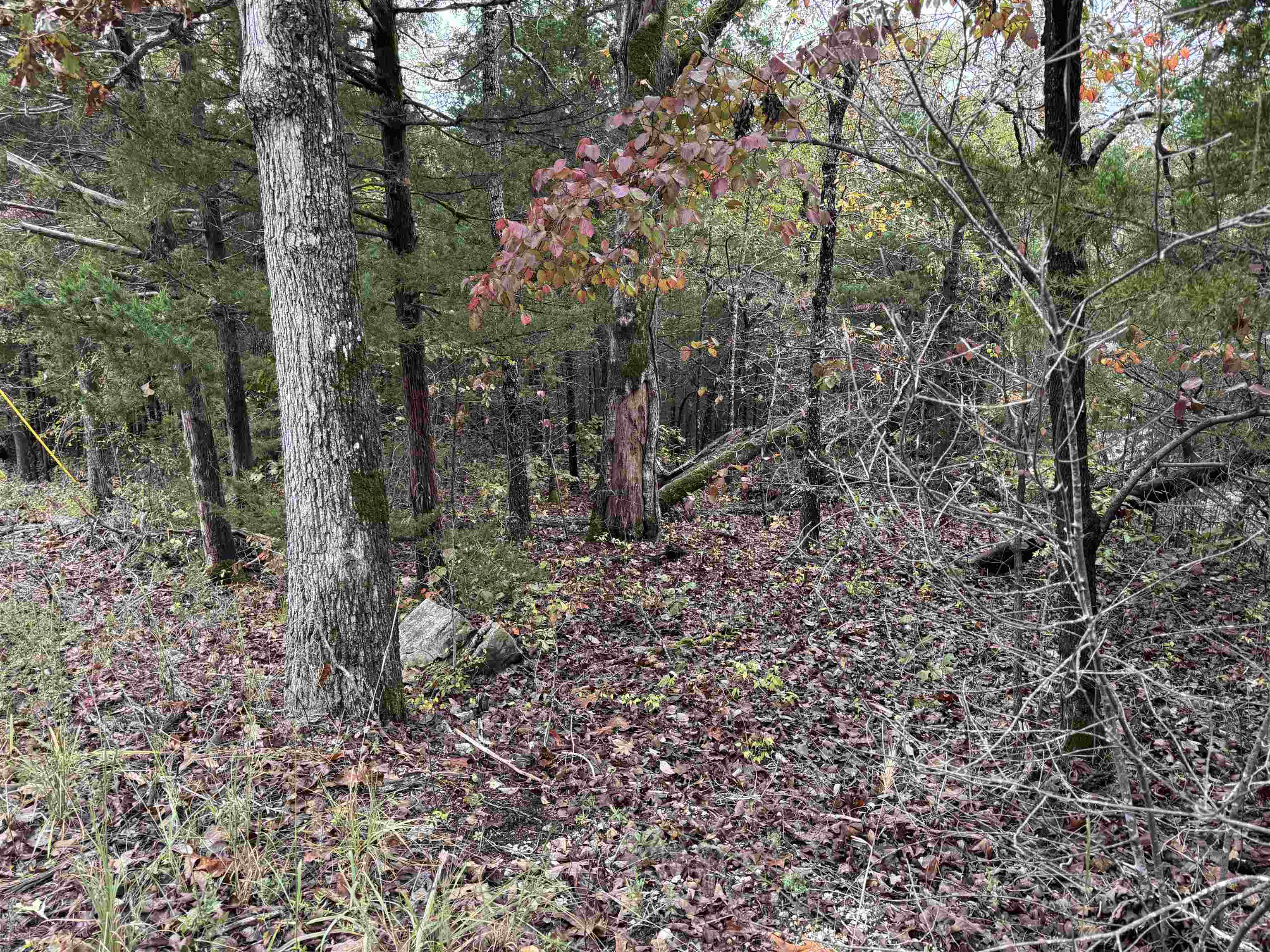 1300 Hummingbird Lane  Horseshoe Bend, AR