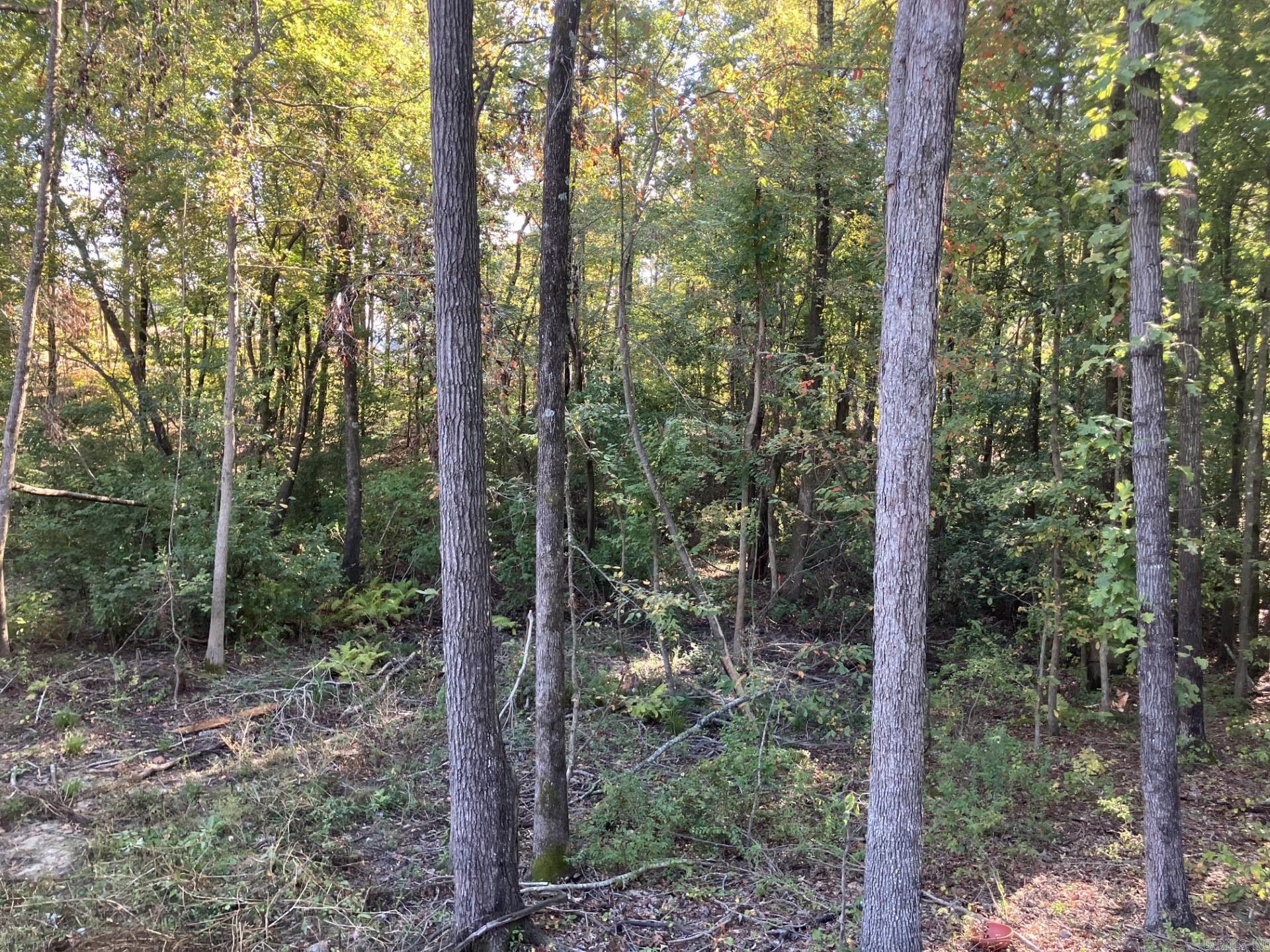 2409 Oakbrook Drive  Benton, AR