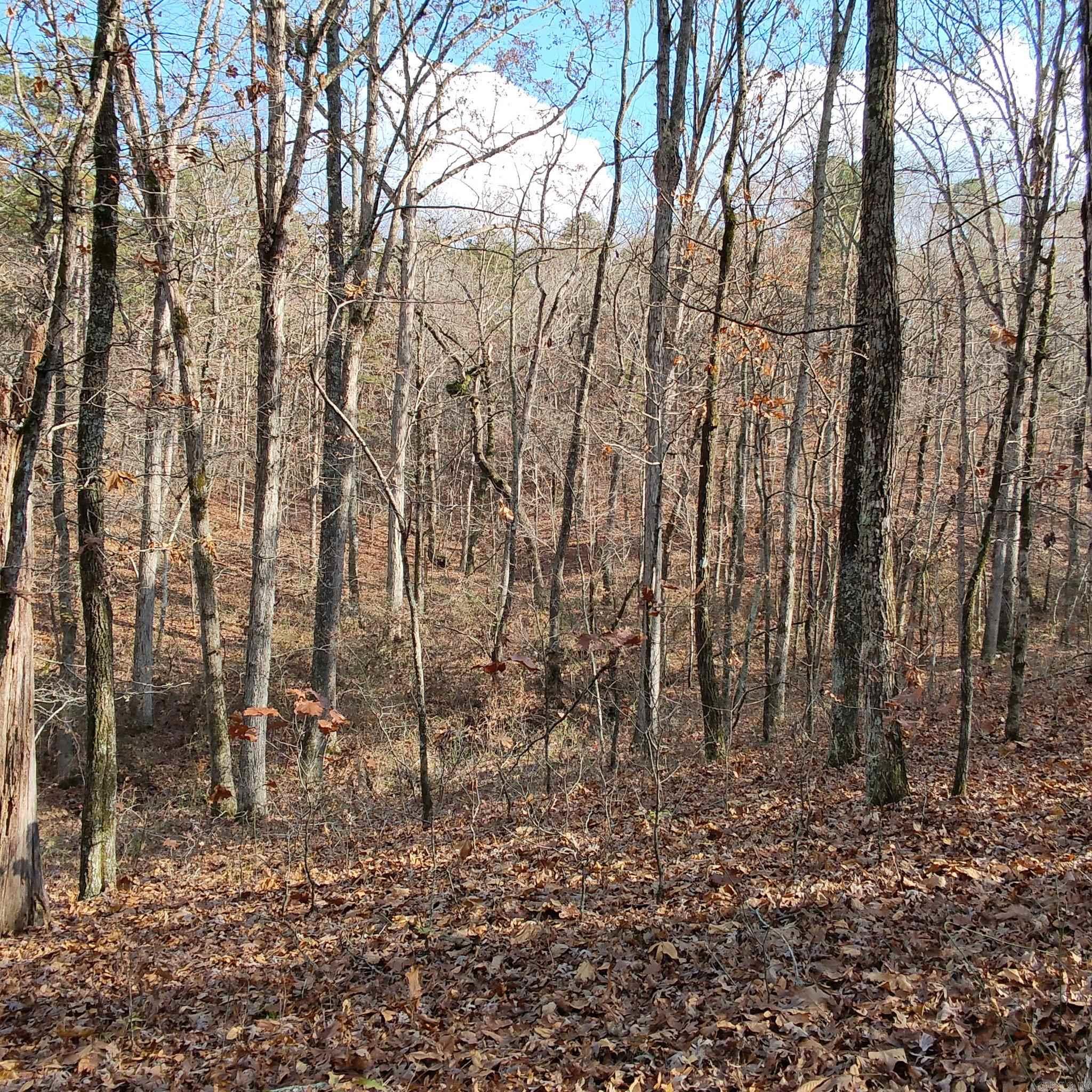 0 Pryor Mountain Dr  Quitman, AR