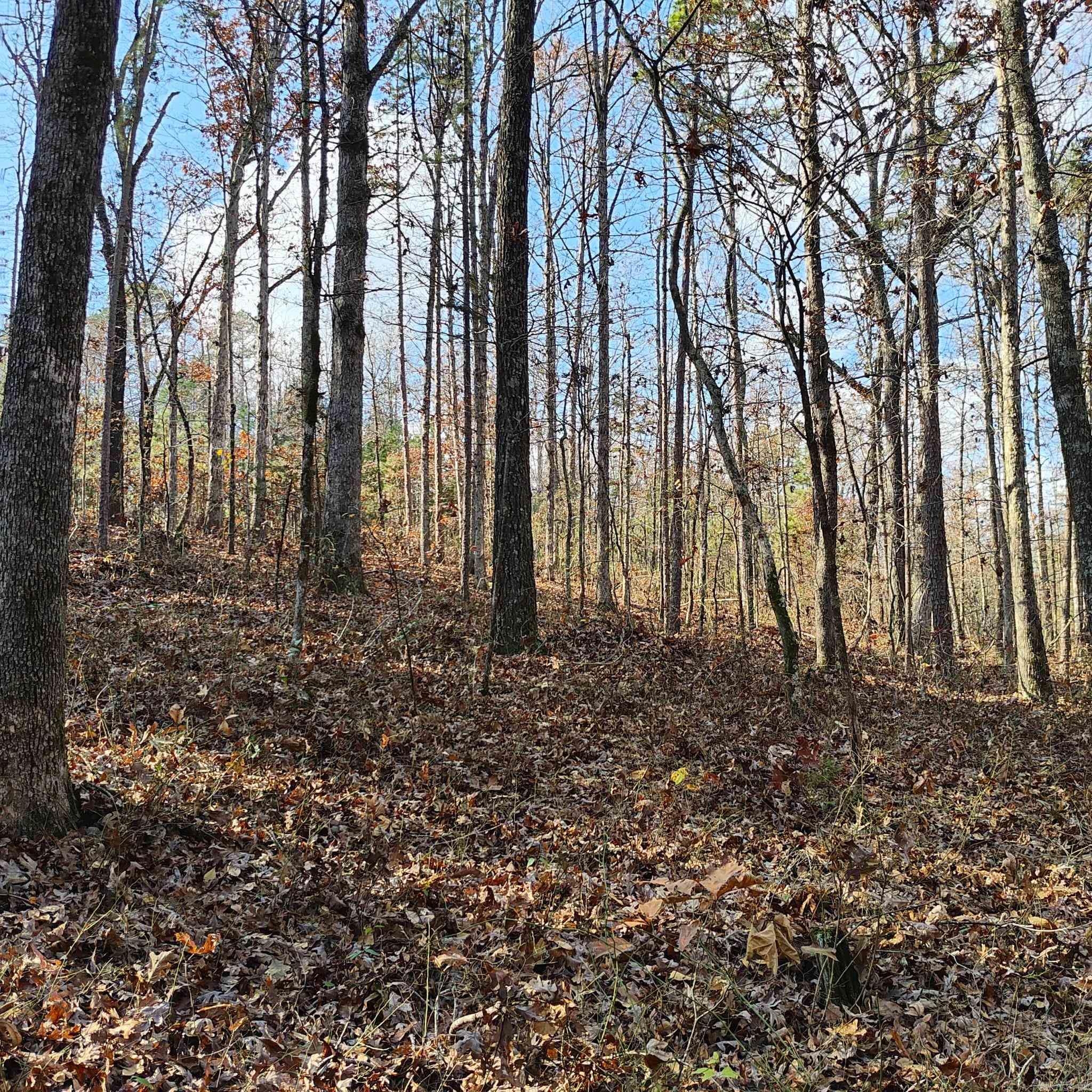 0 Pryor Mountain Dr  Quitman, AR