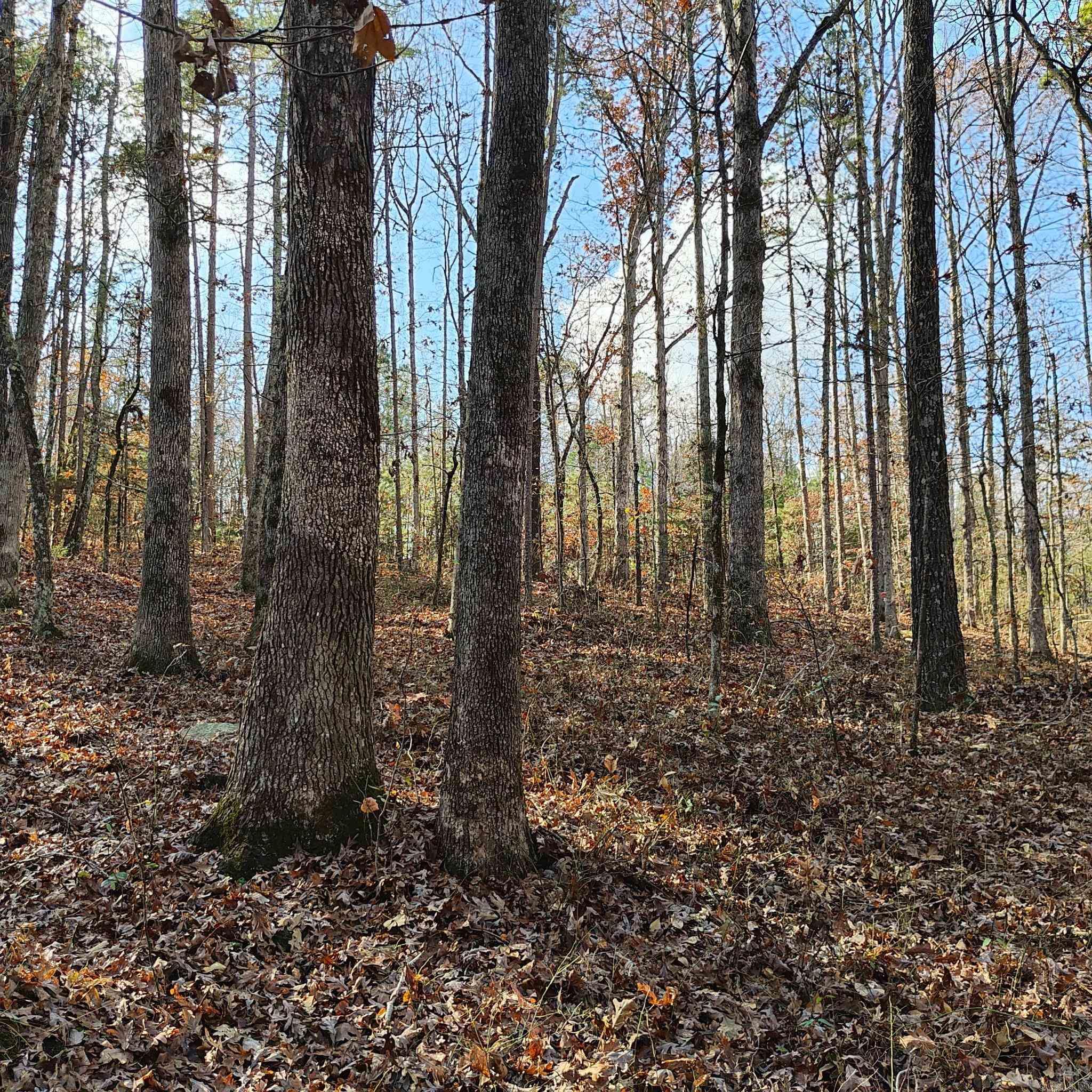 0 Pryor Mountain Dr  Quitman, AR