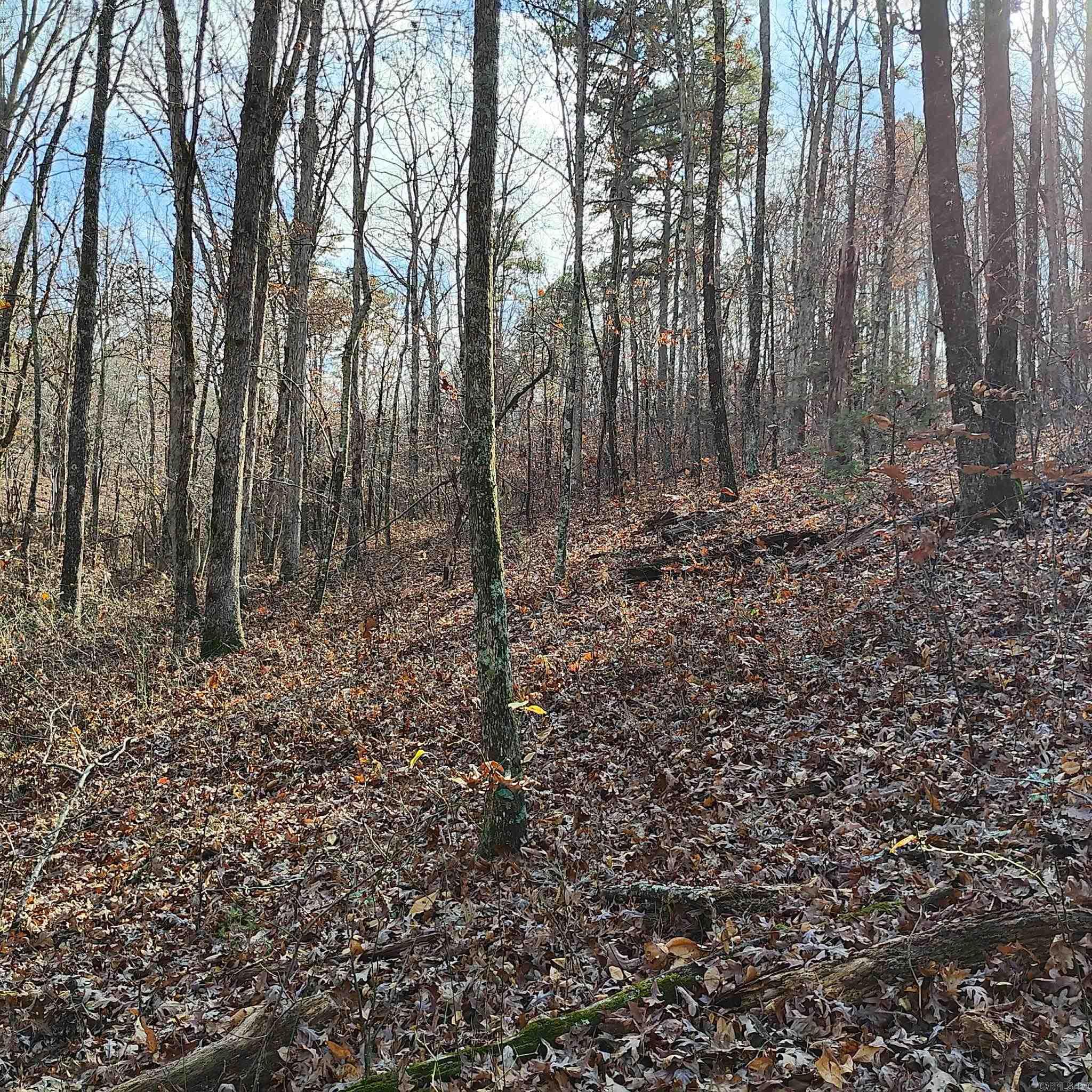 0 Pryor Mountain Dr  Quitman, AR